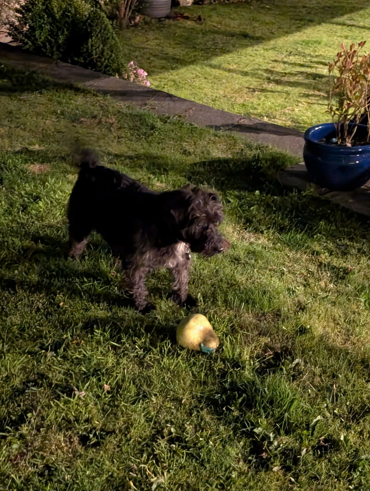image-11