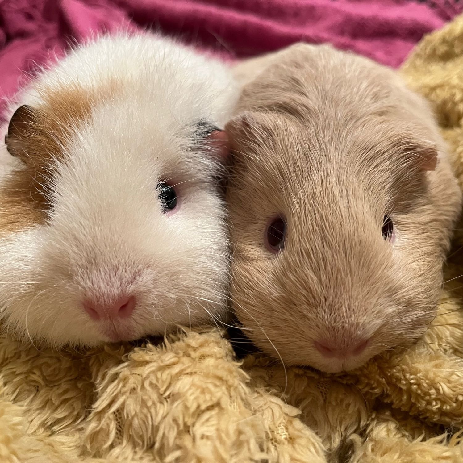 Betty & Dorris 