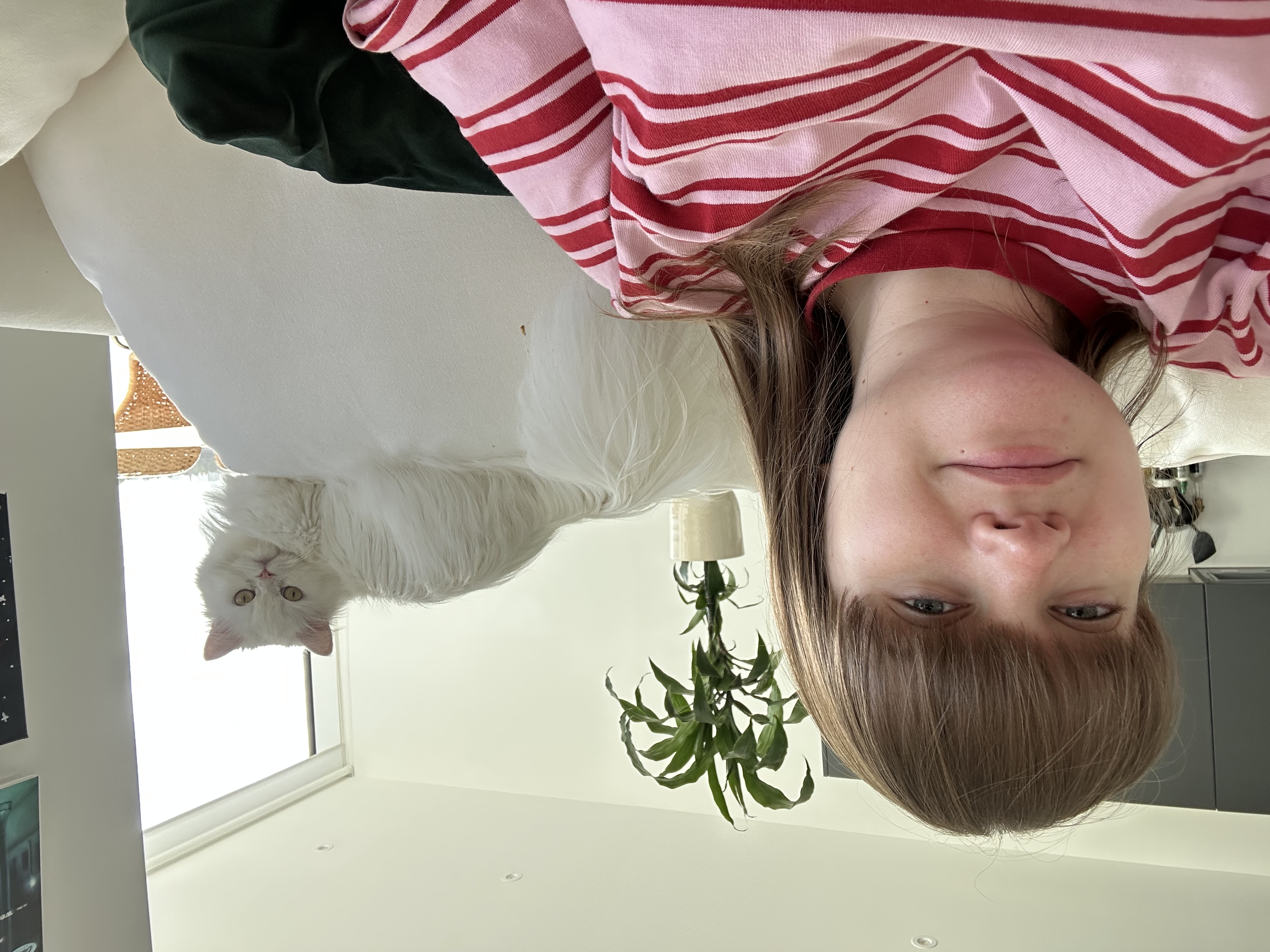 image-8