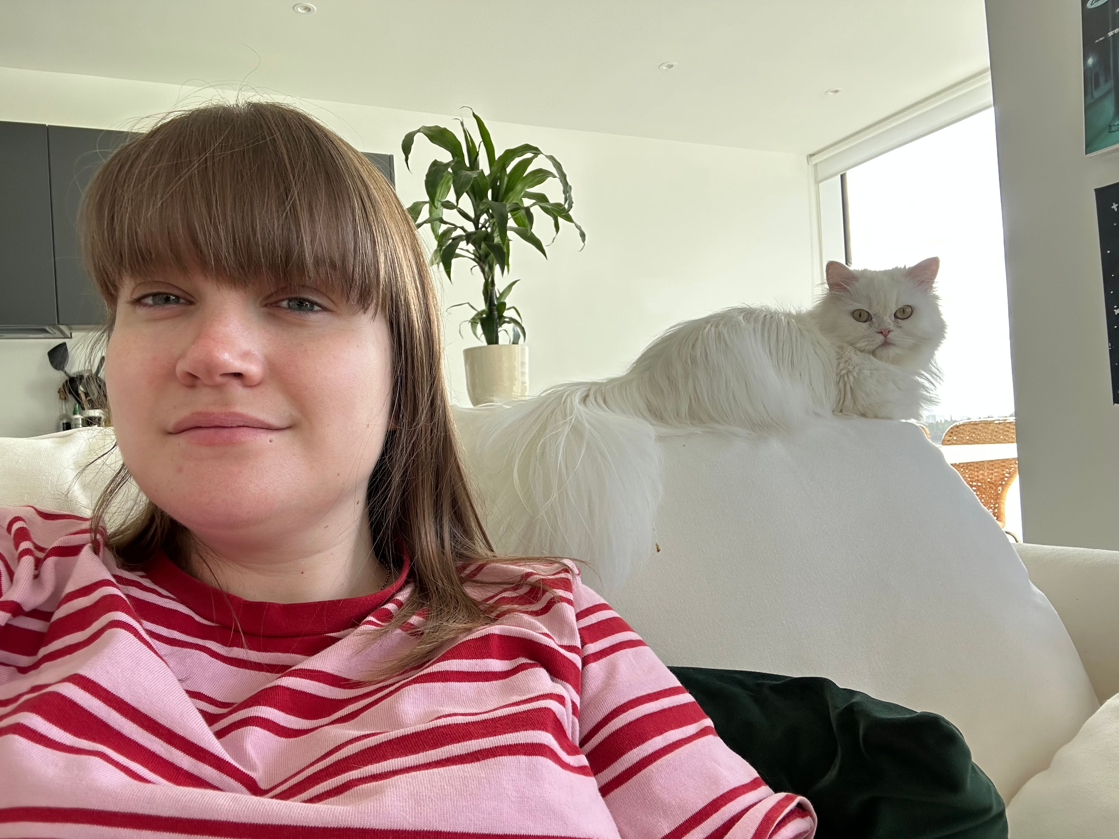 image-8