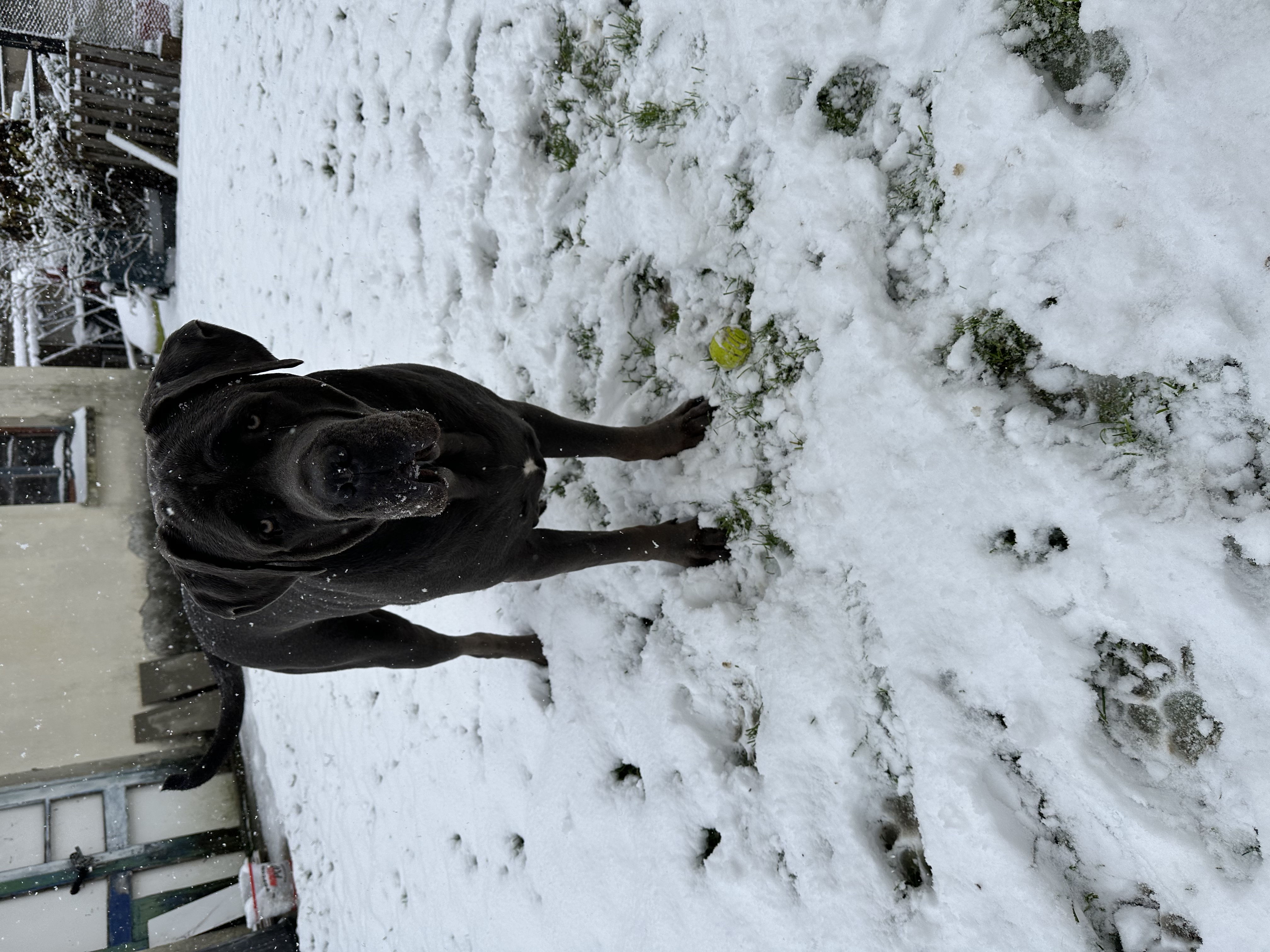 image-5