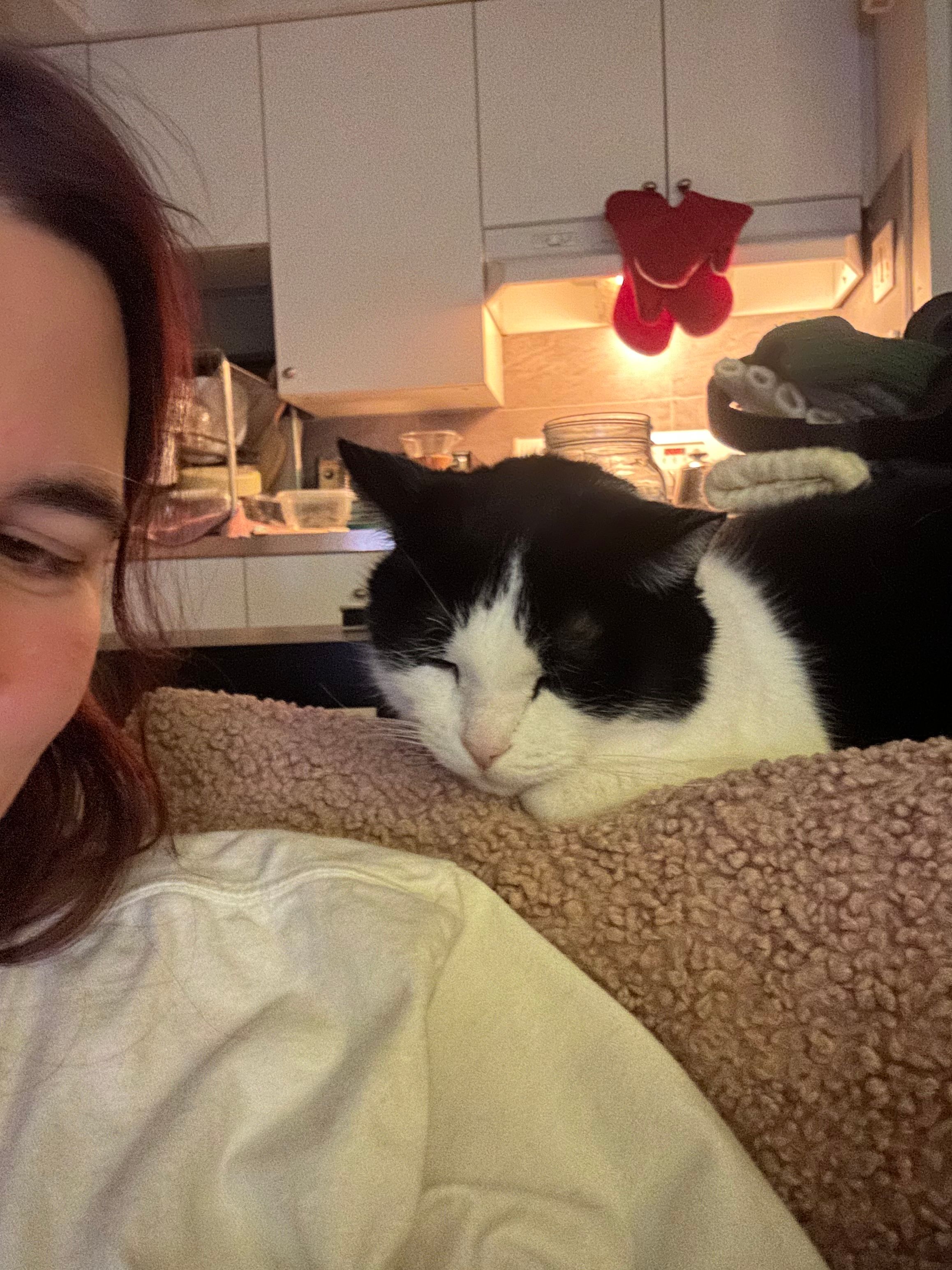 image-3