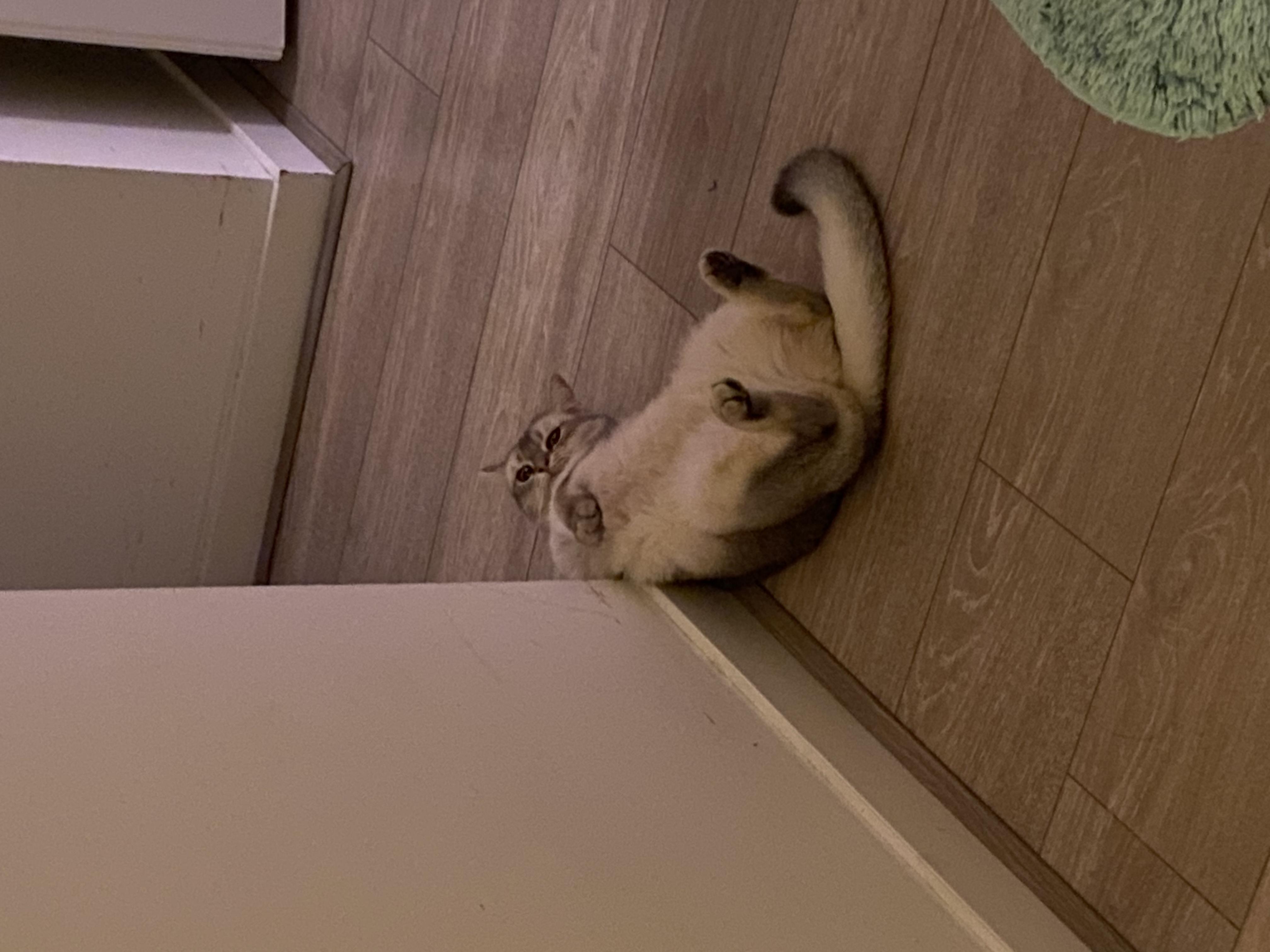 image-11