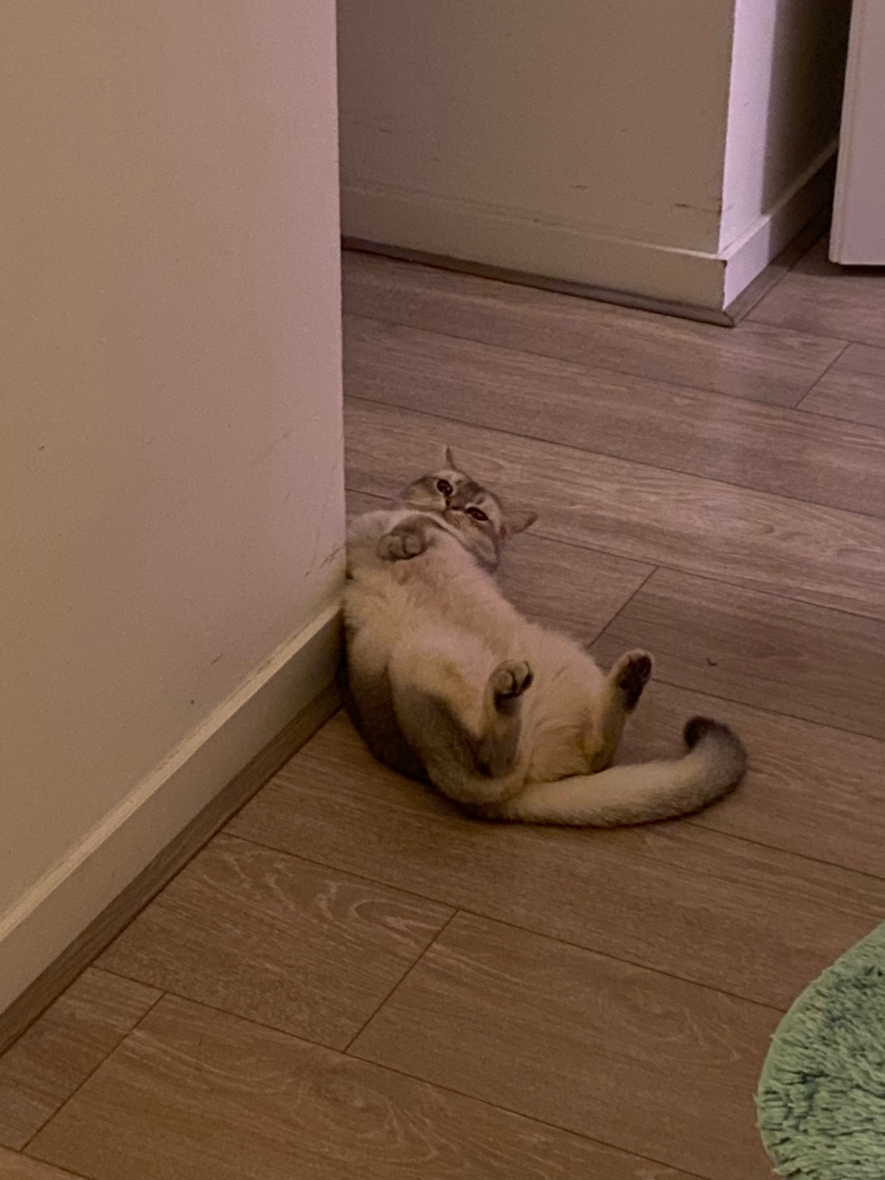 image-11