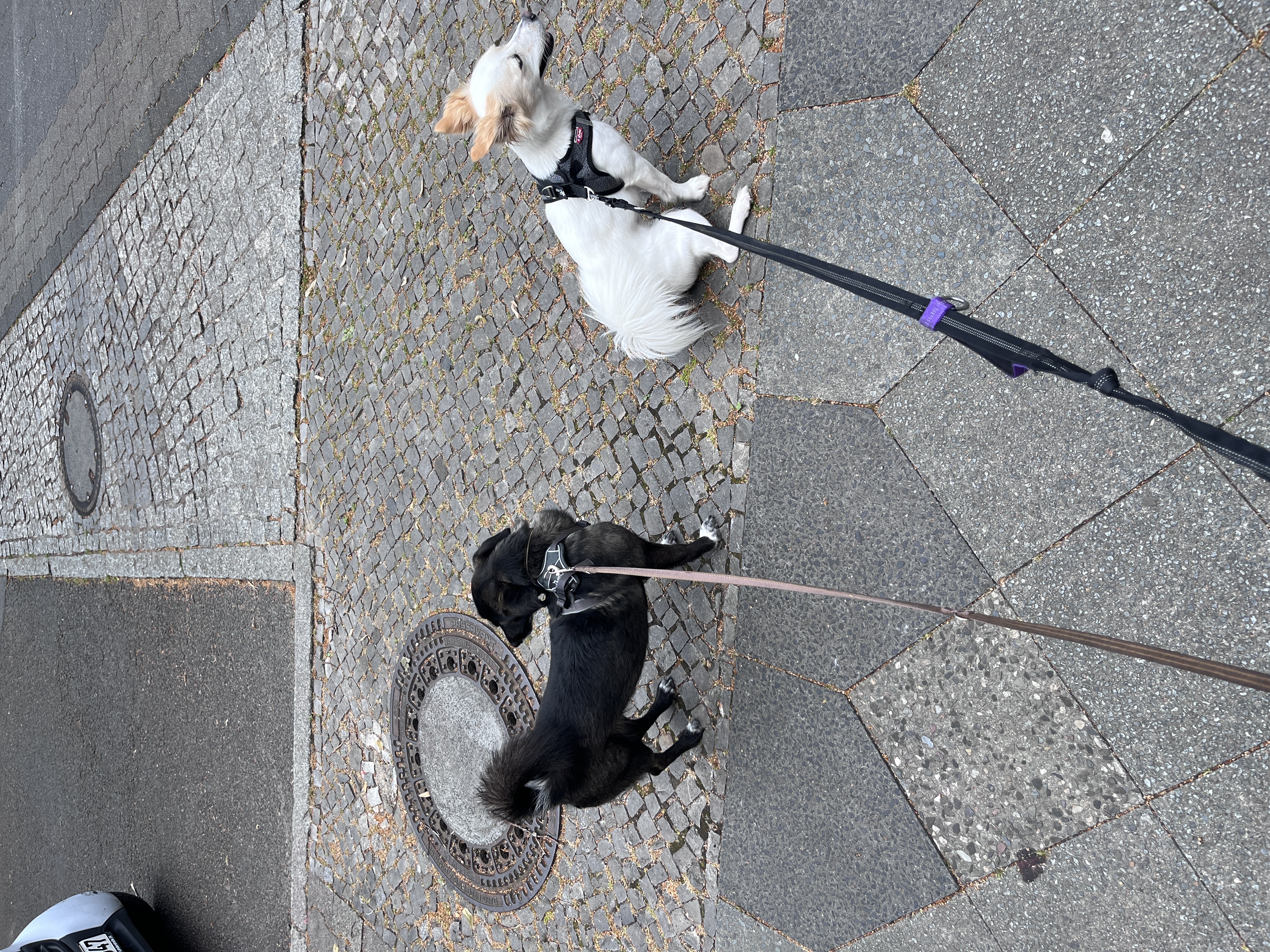 image-14