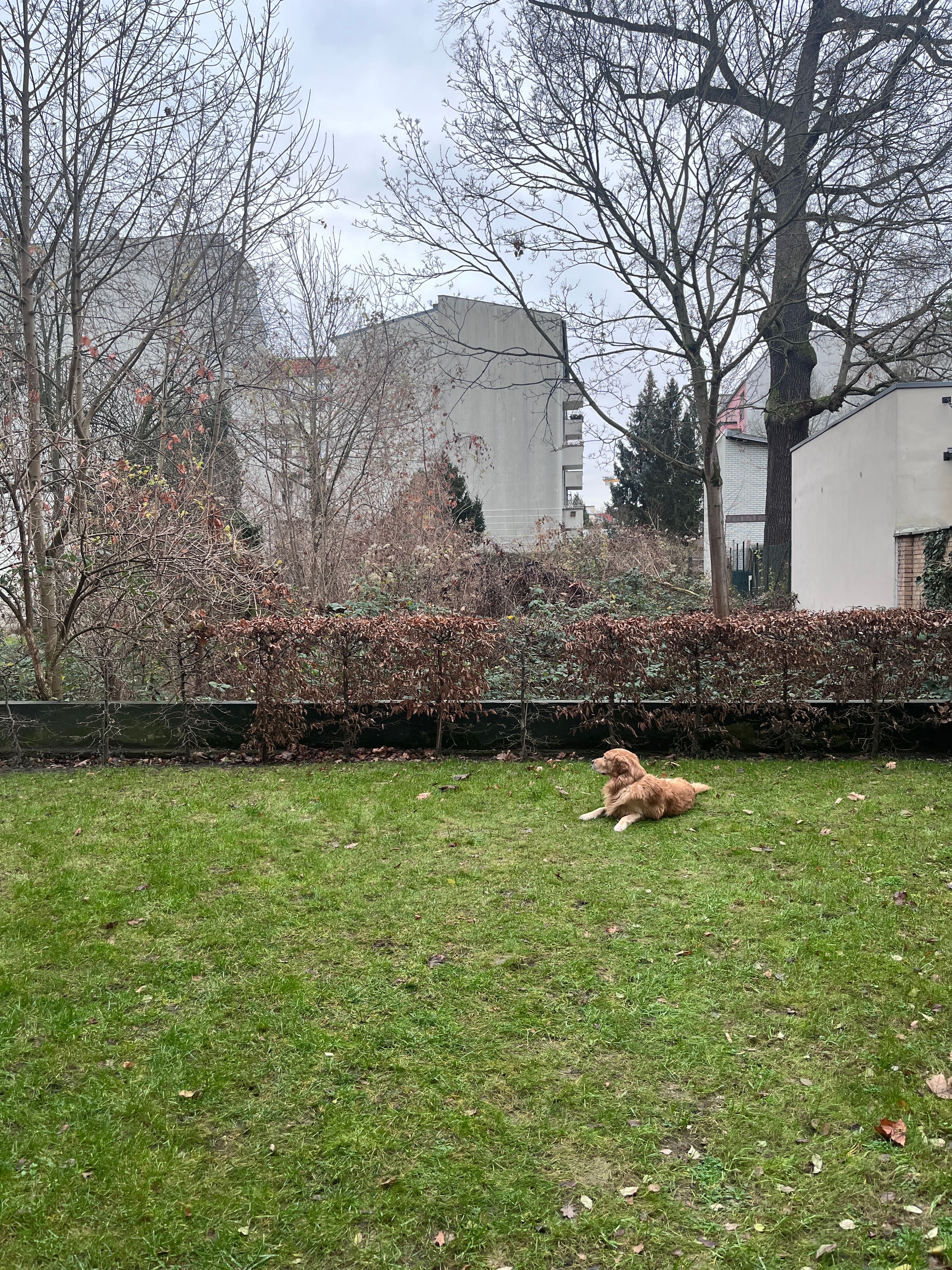 image-20