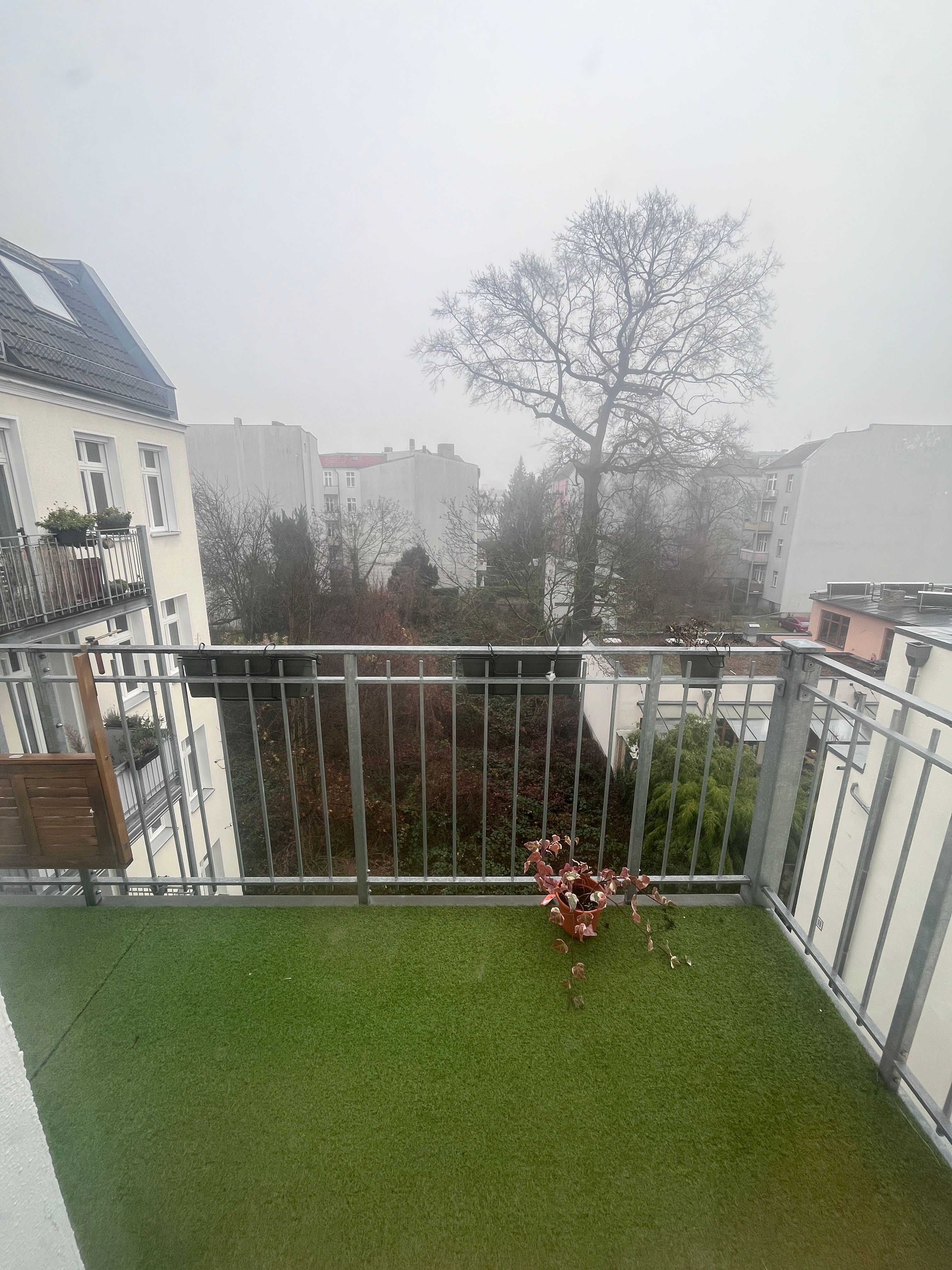 image-21
