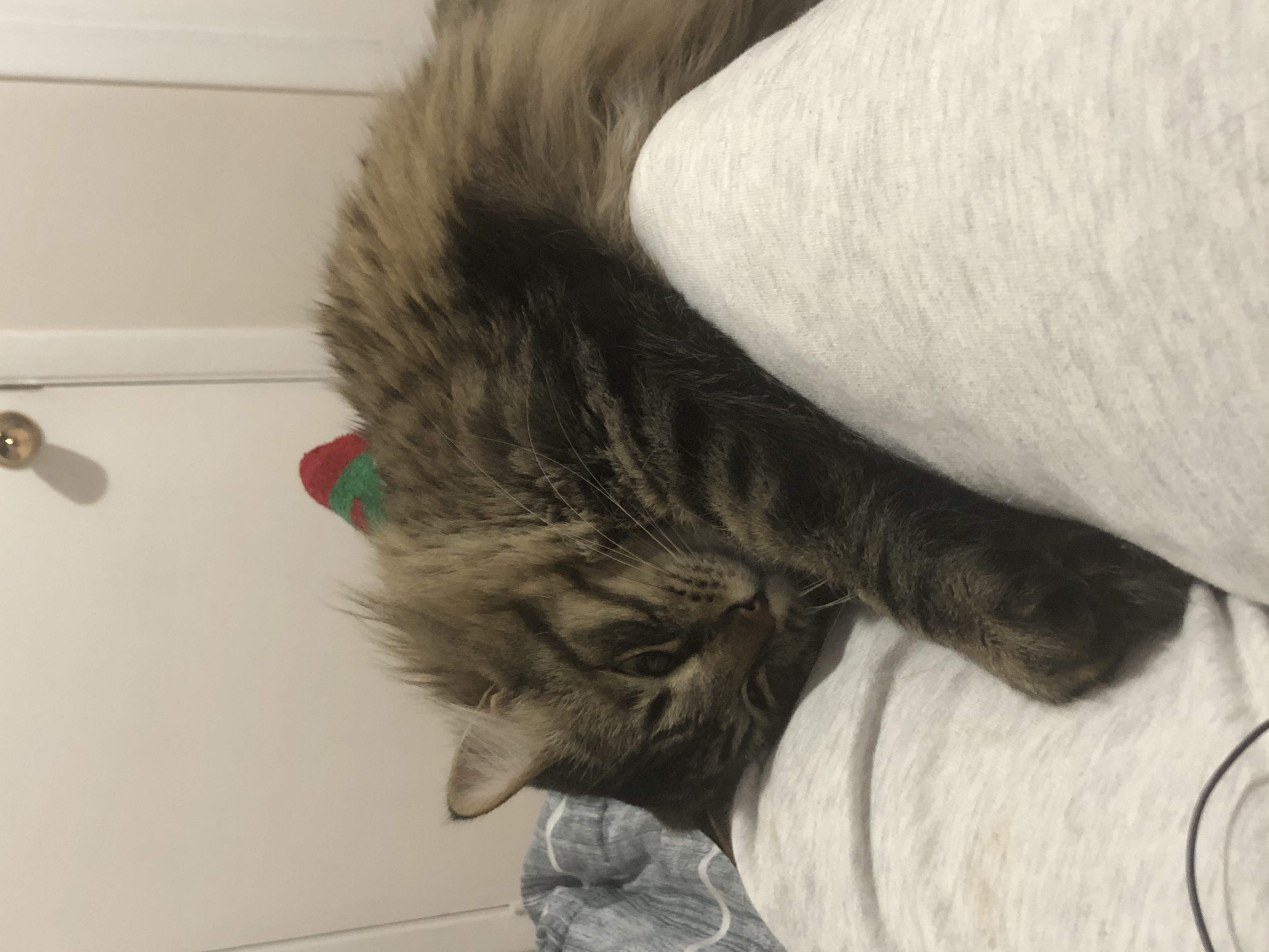 image-6