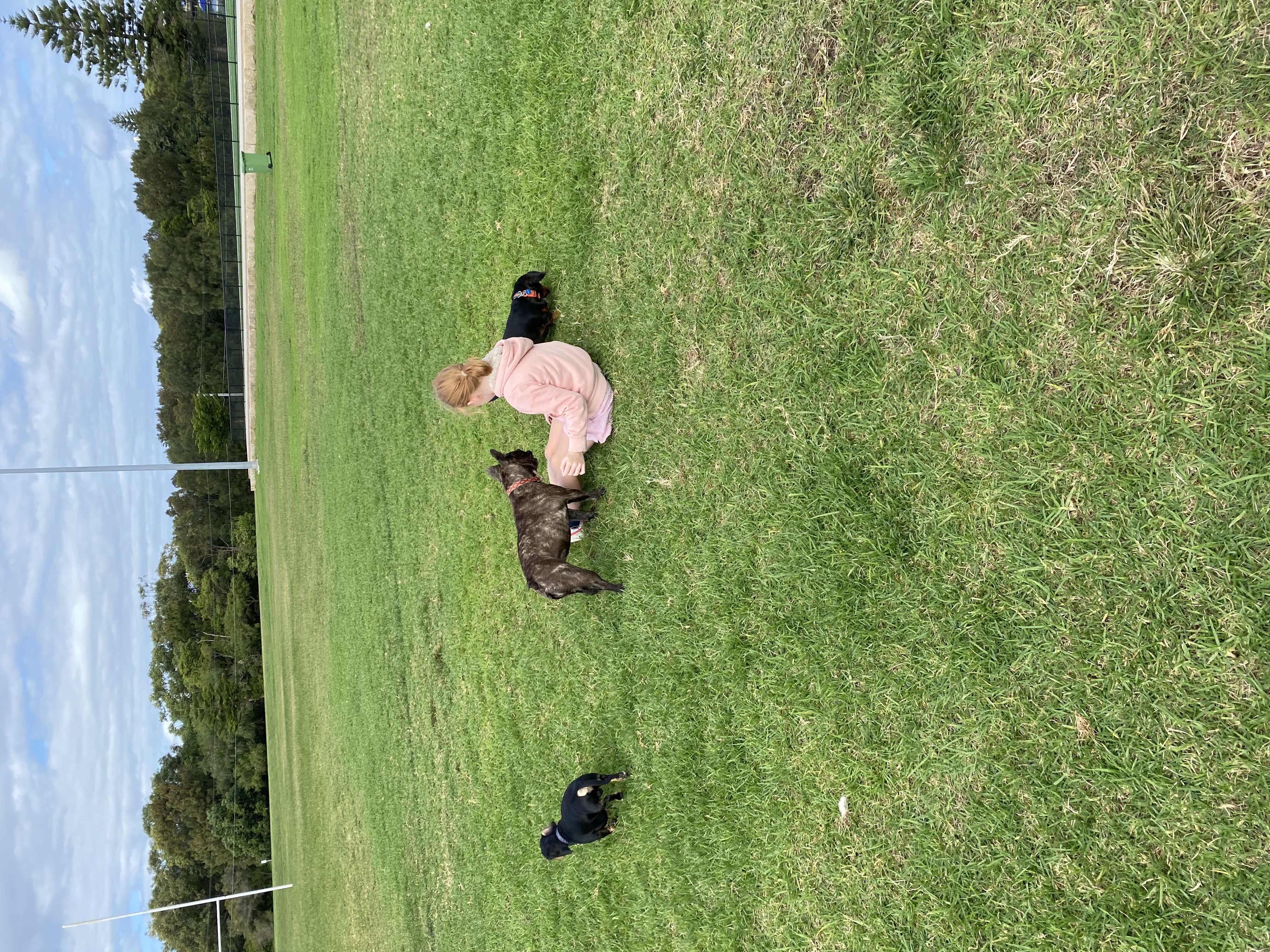 image-14