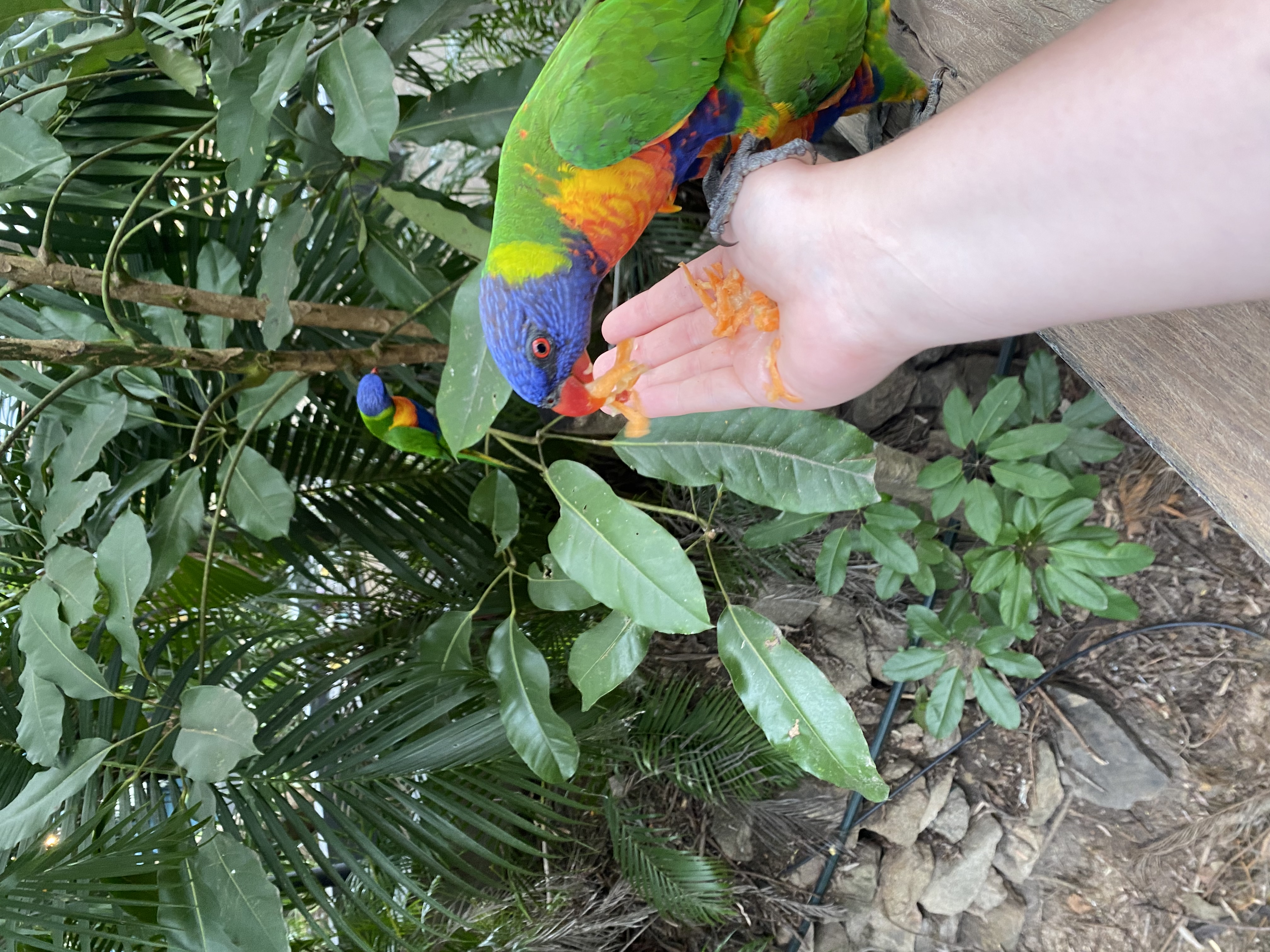 image-11