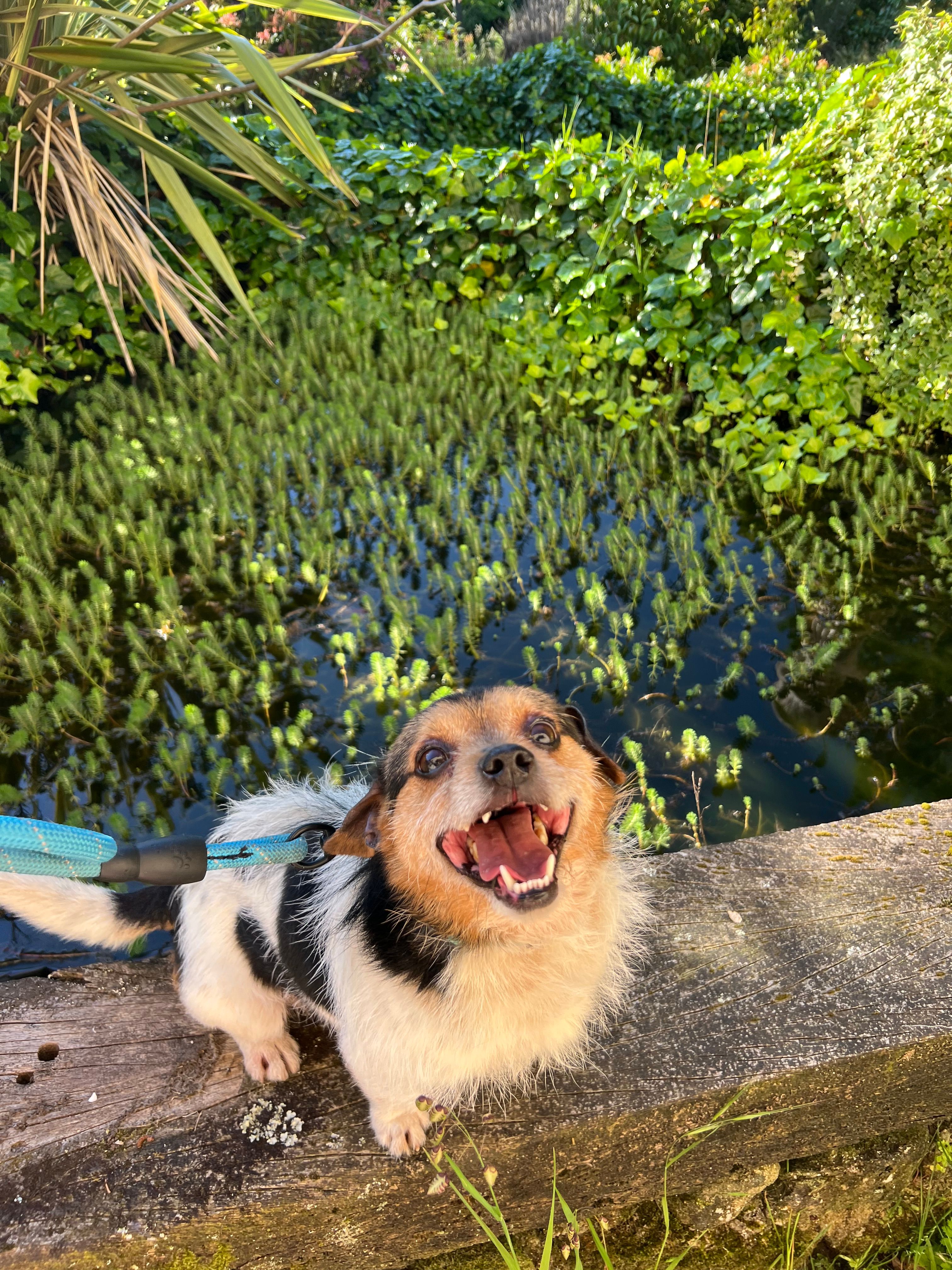 image-10