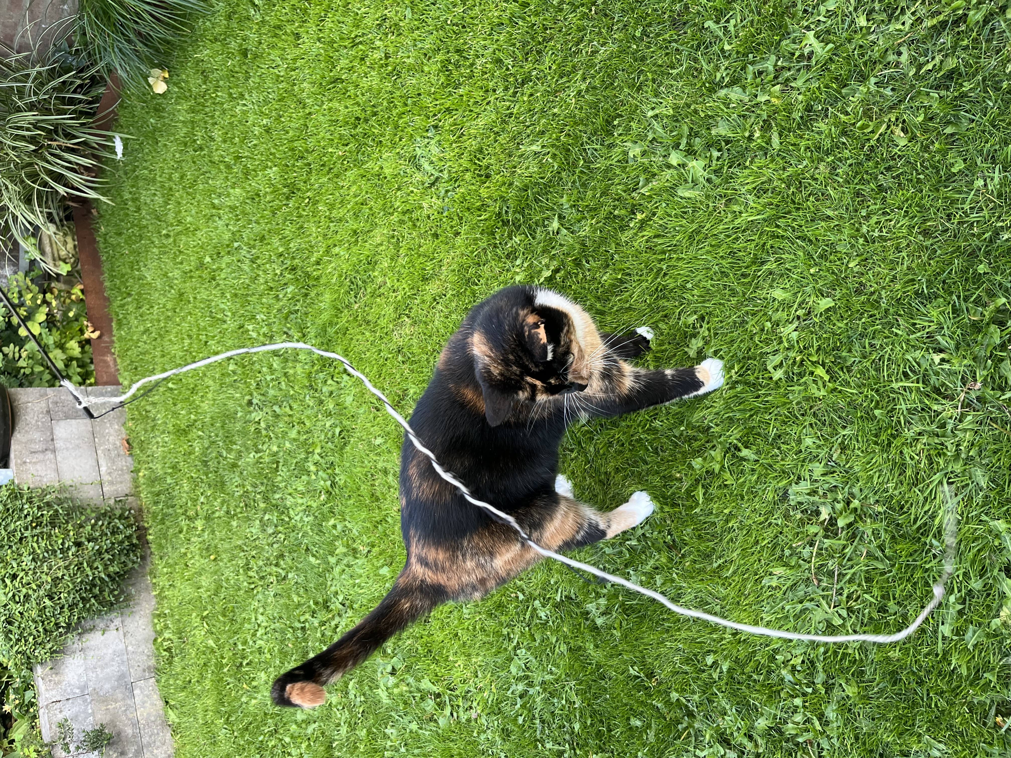 image-6