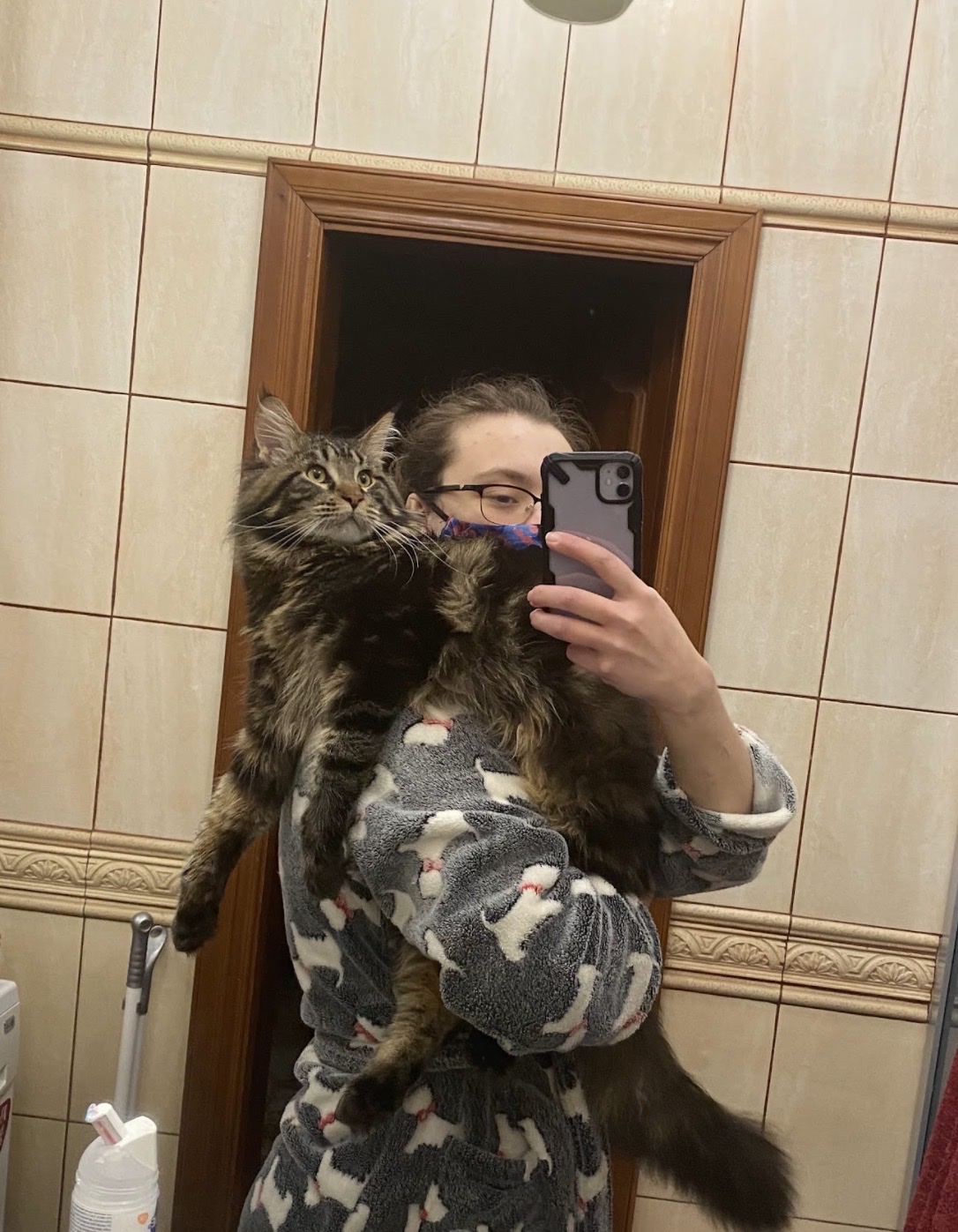 image-7
