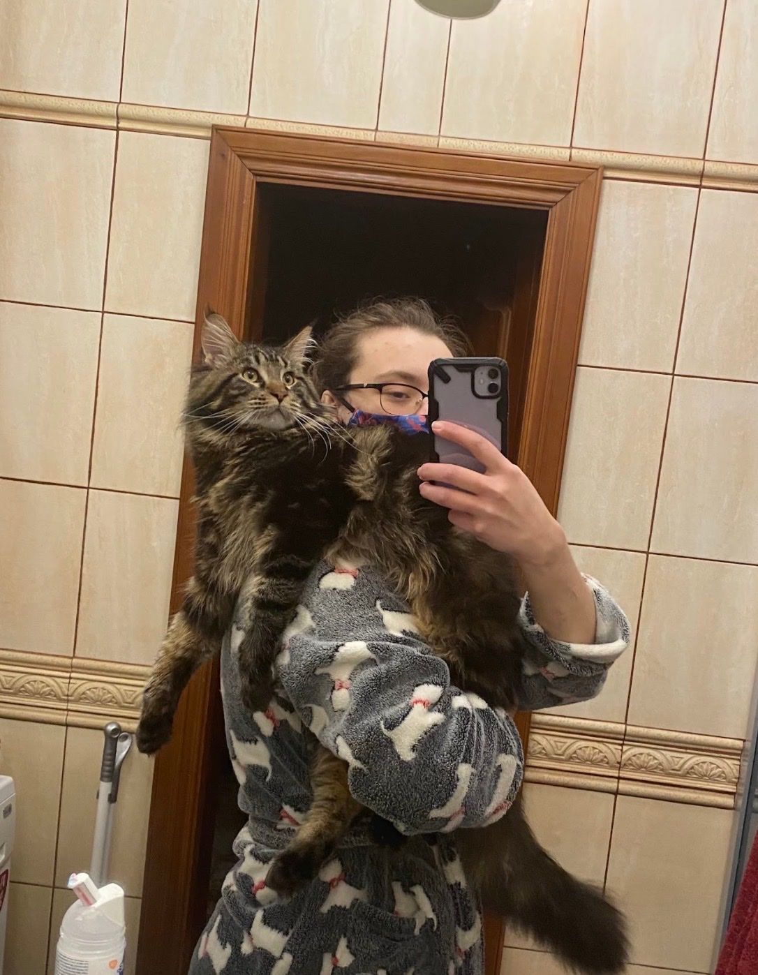 image-7