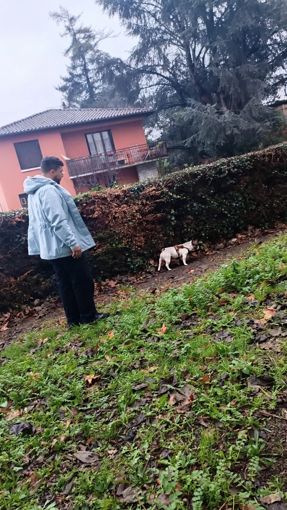 image-15