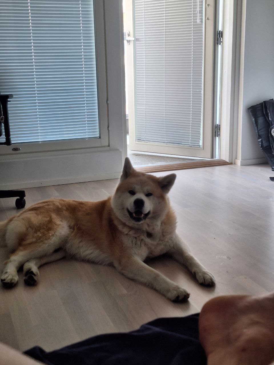 image-14