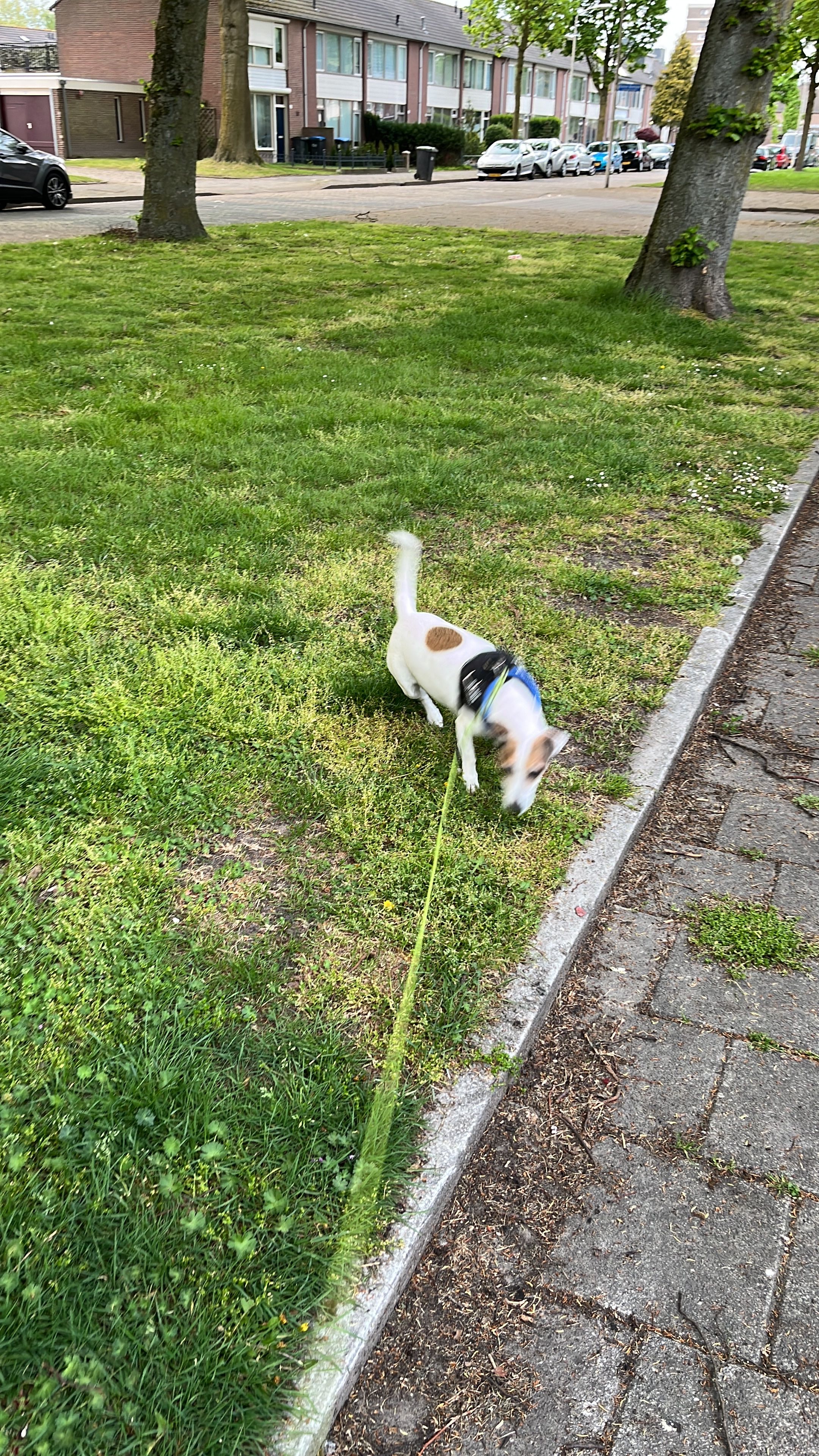 image-16