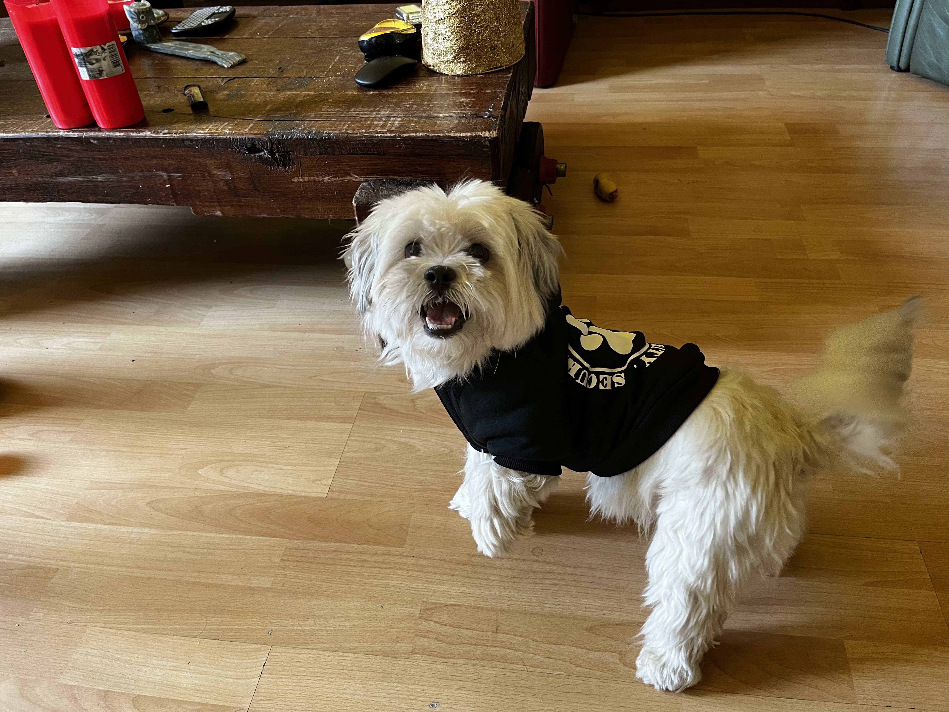 image-9