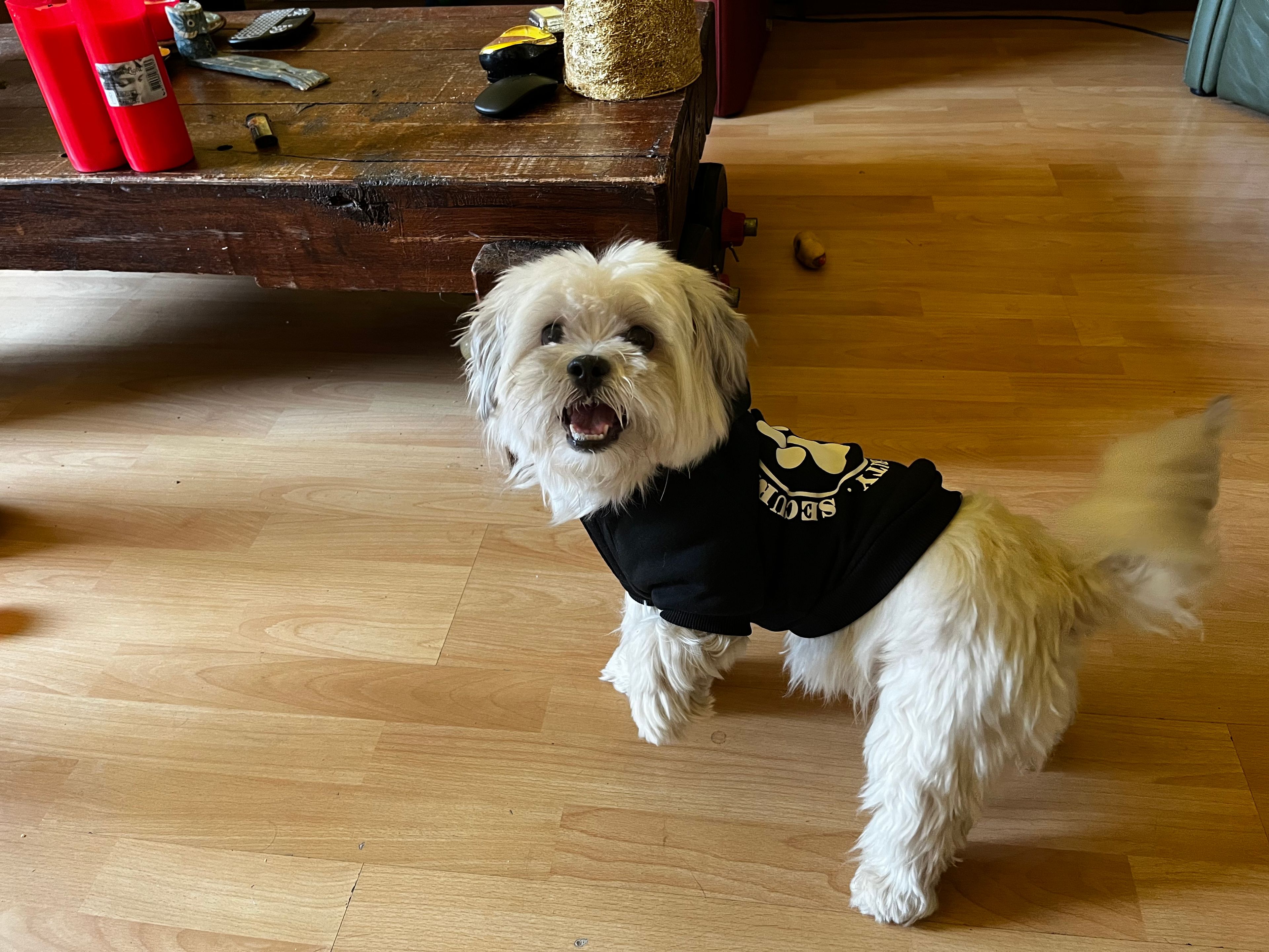 image-9