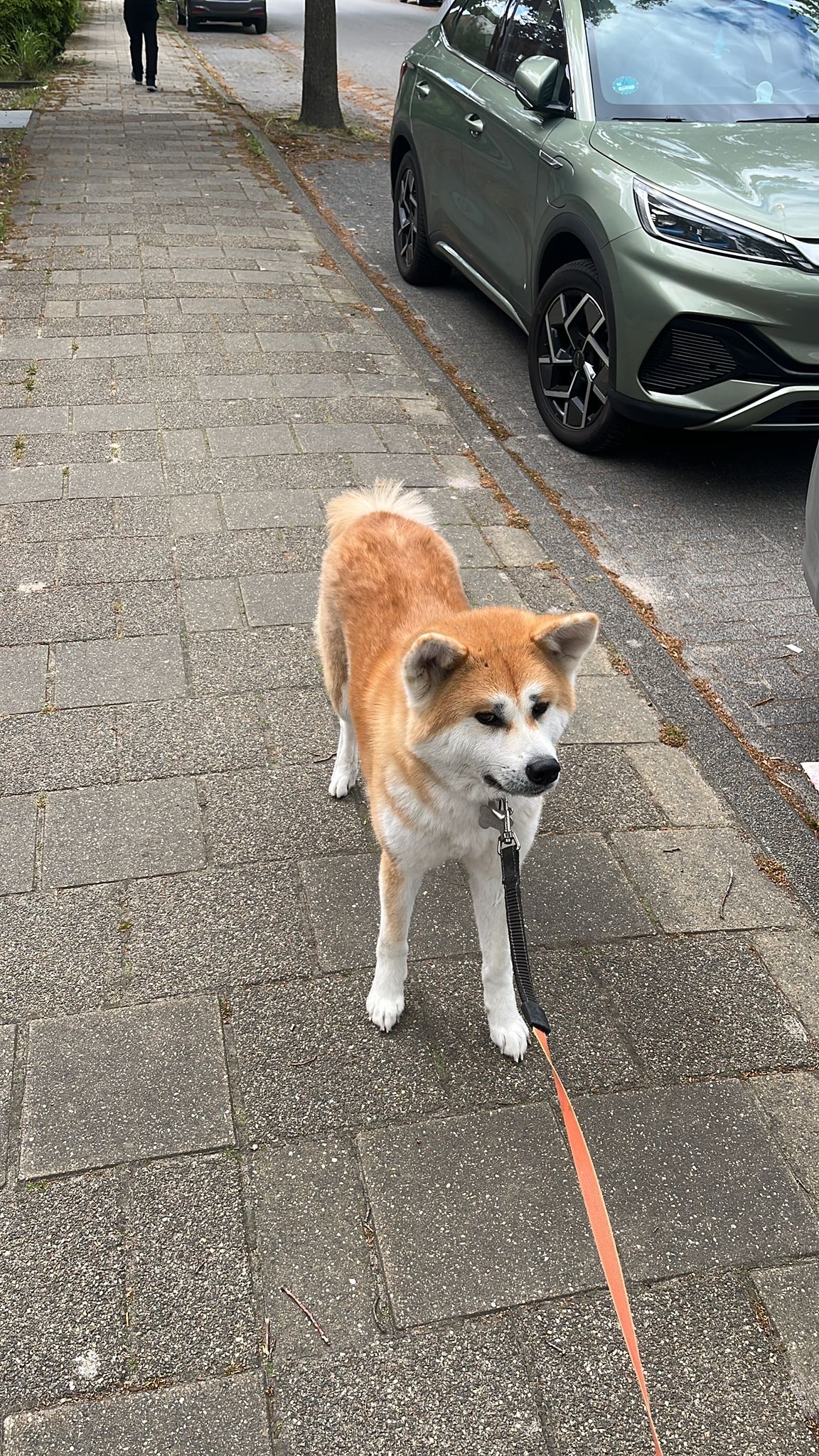 image-11