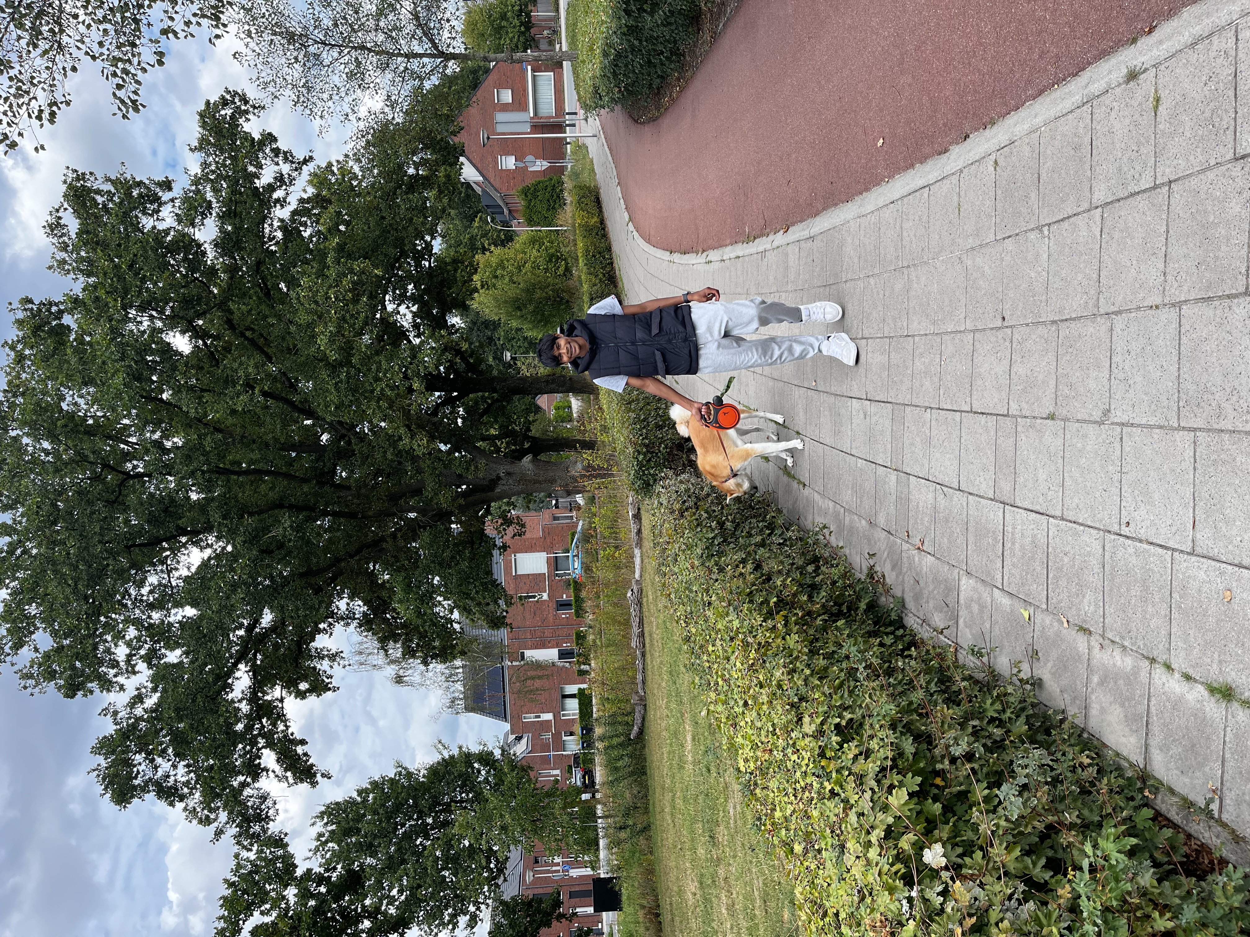 image-14