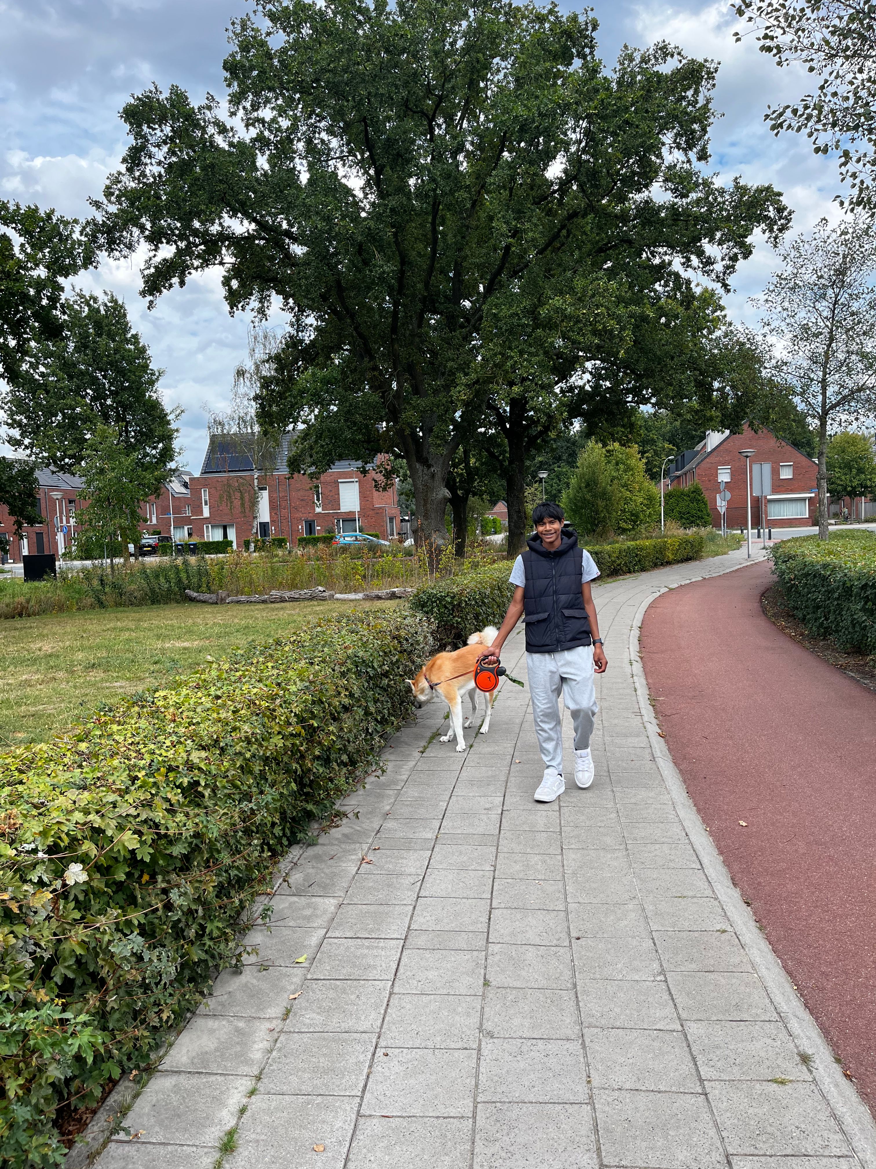 image-14