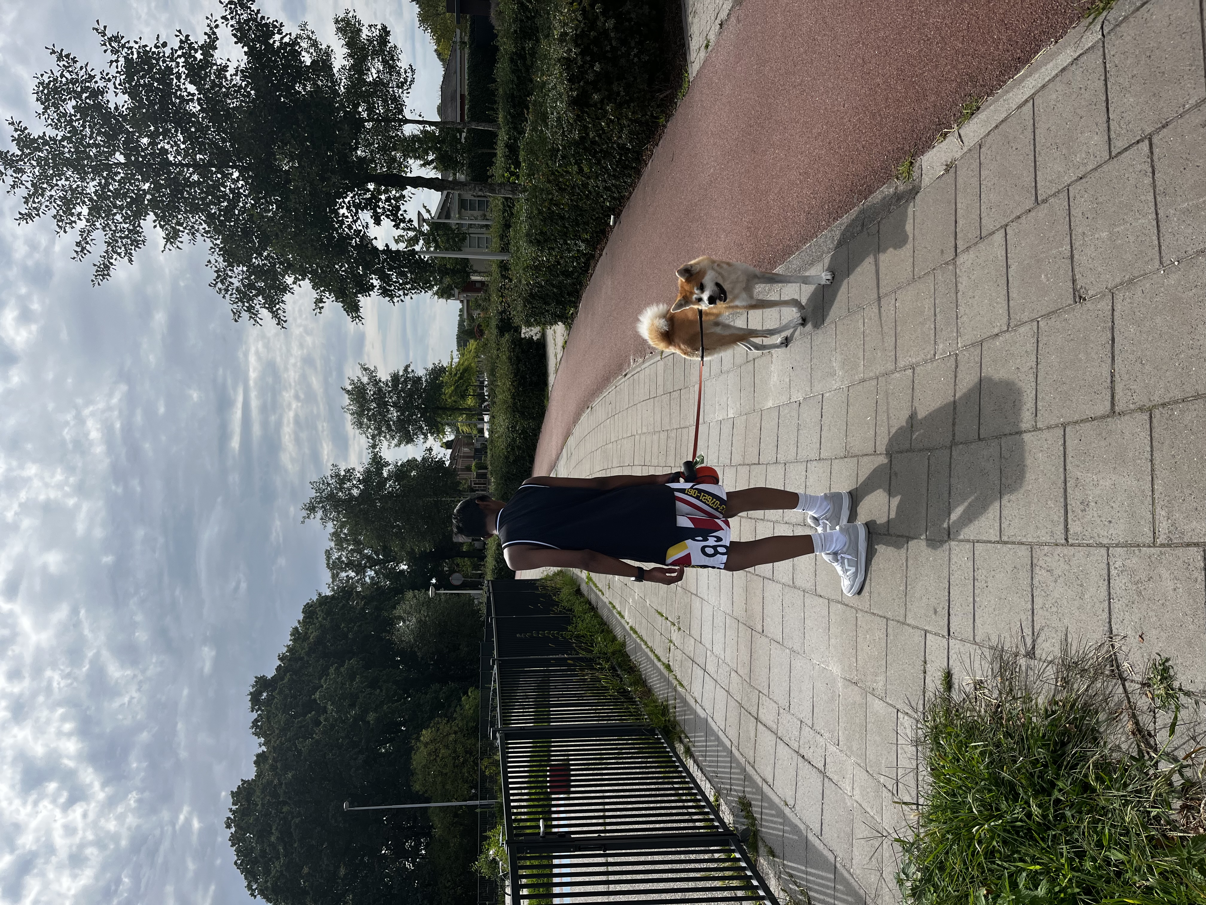 image-5