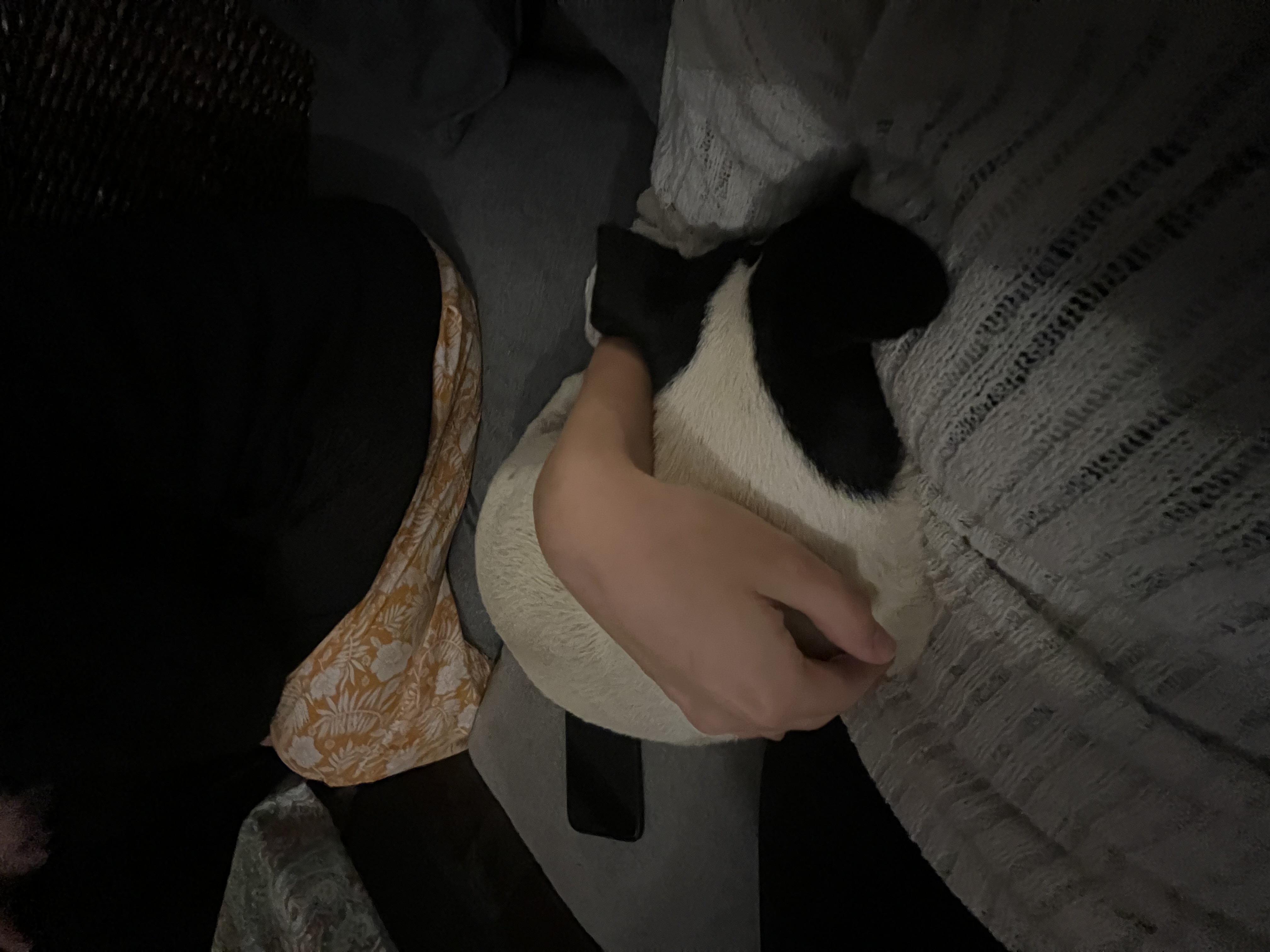 image-10