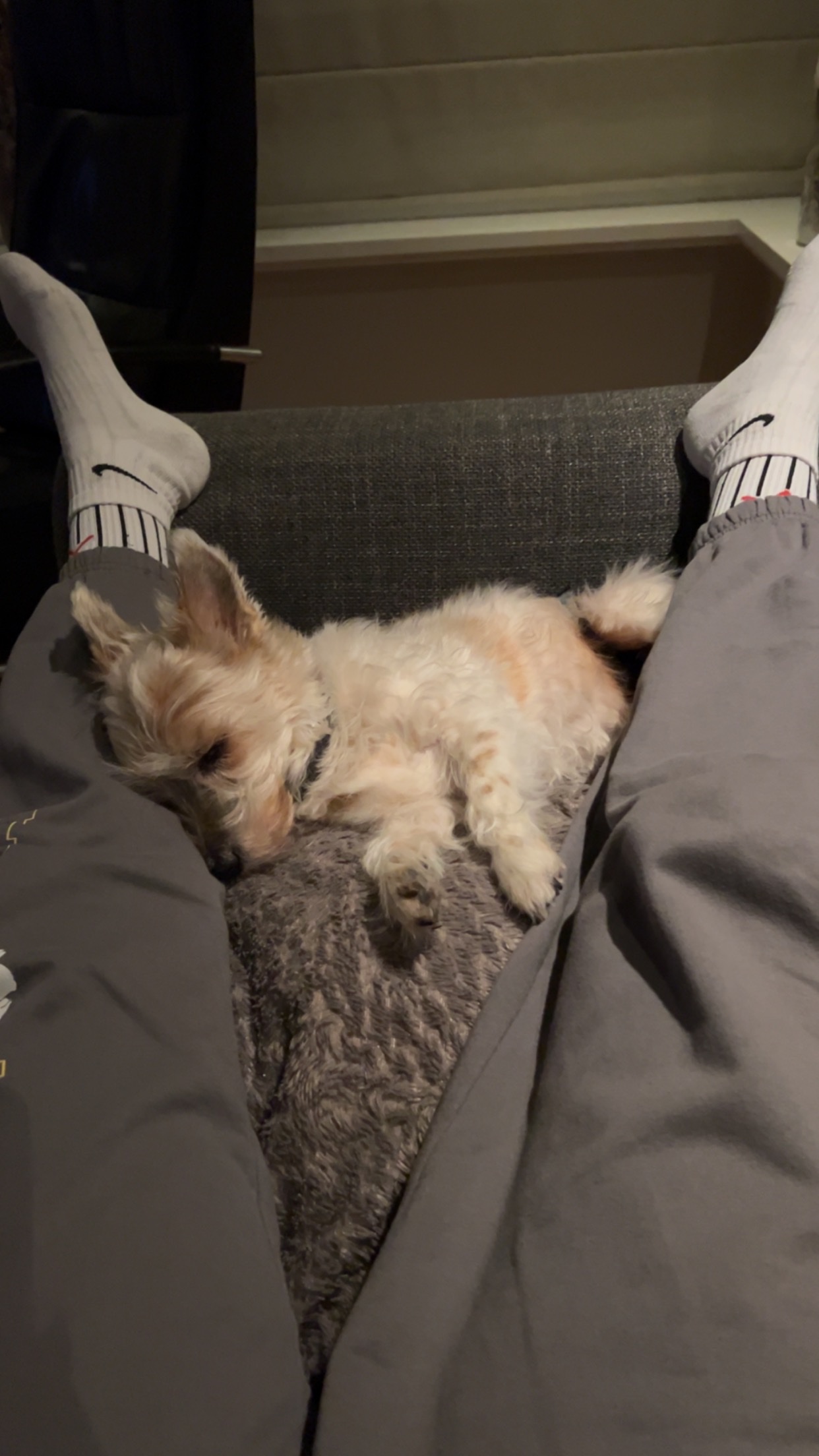 image-10
