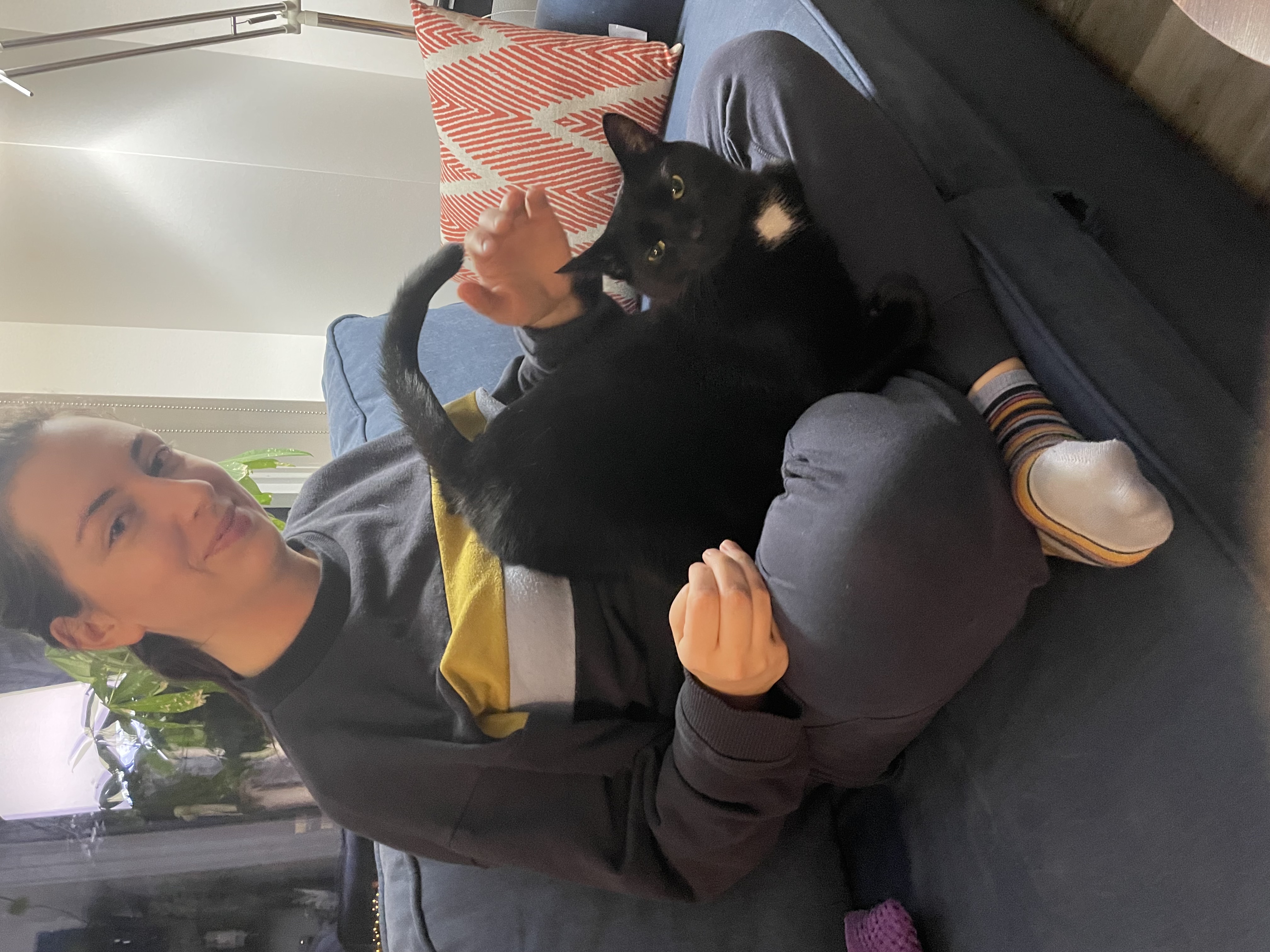 image-6