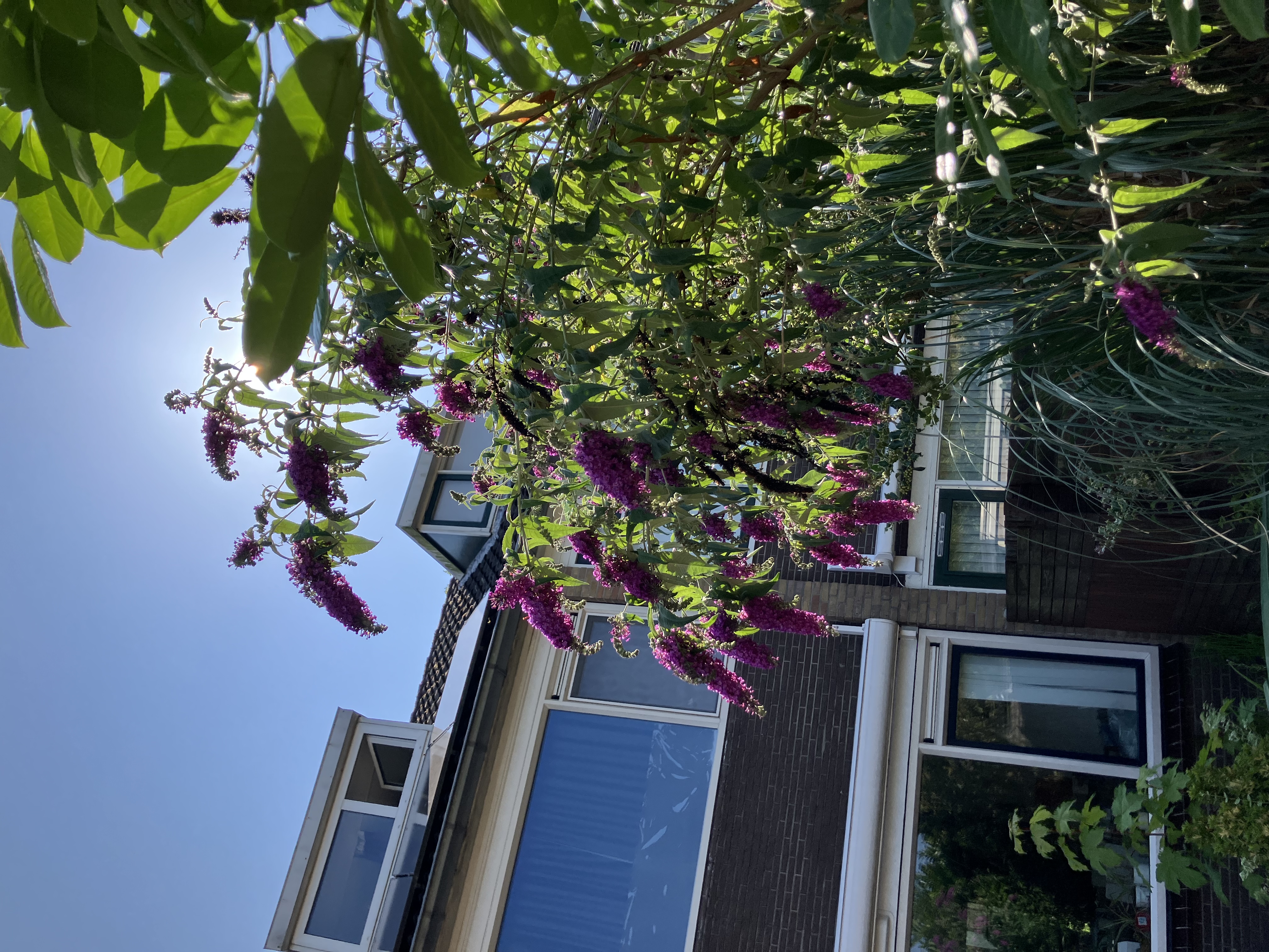 image-14