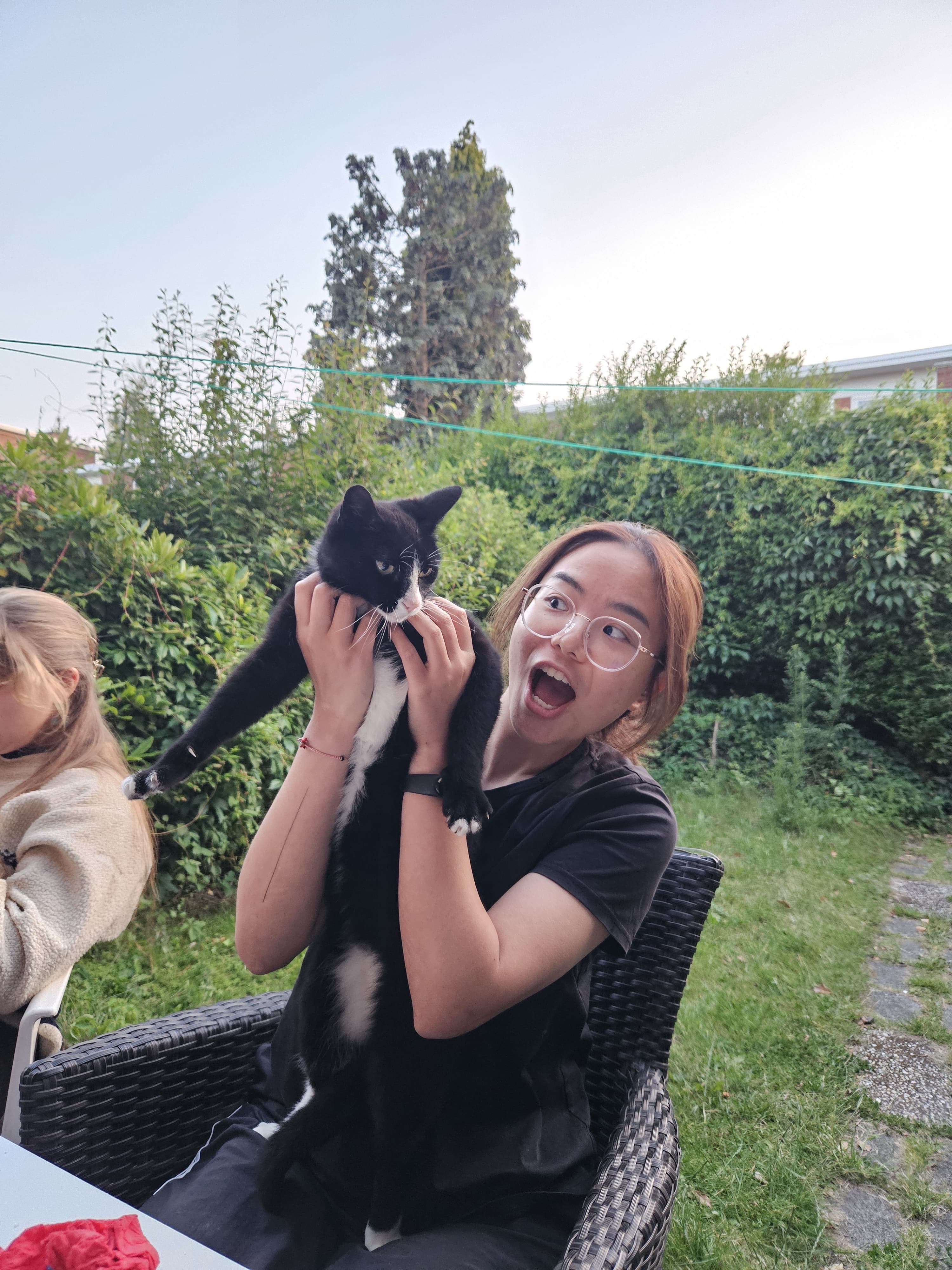 image-11
