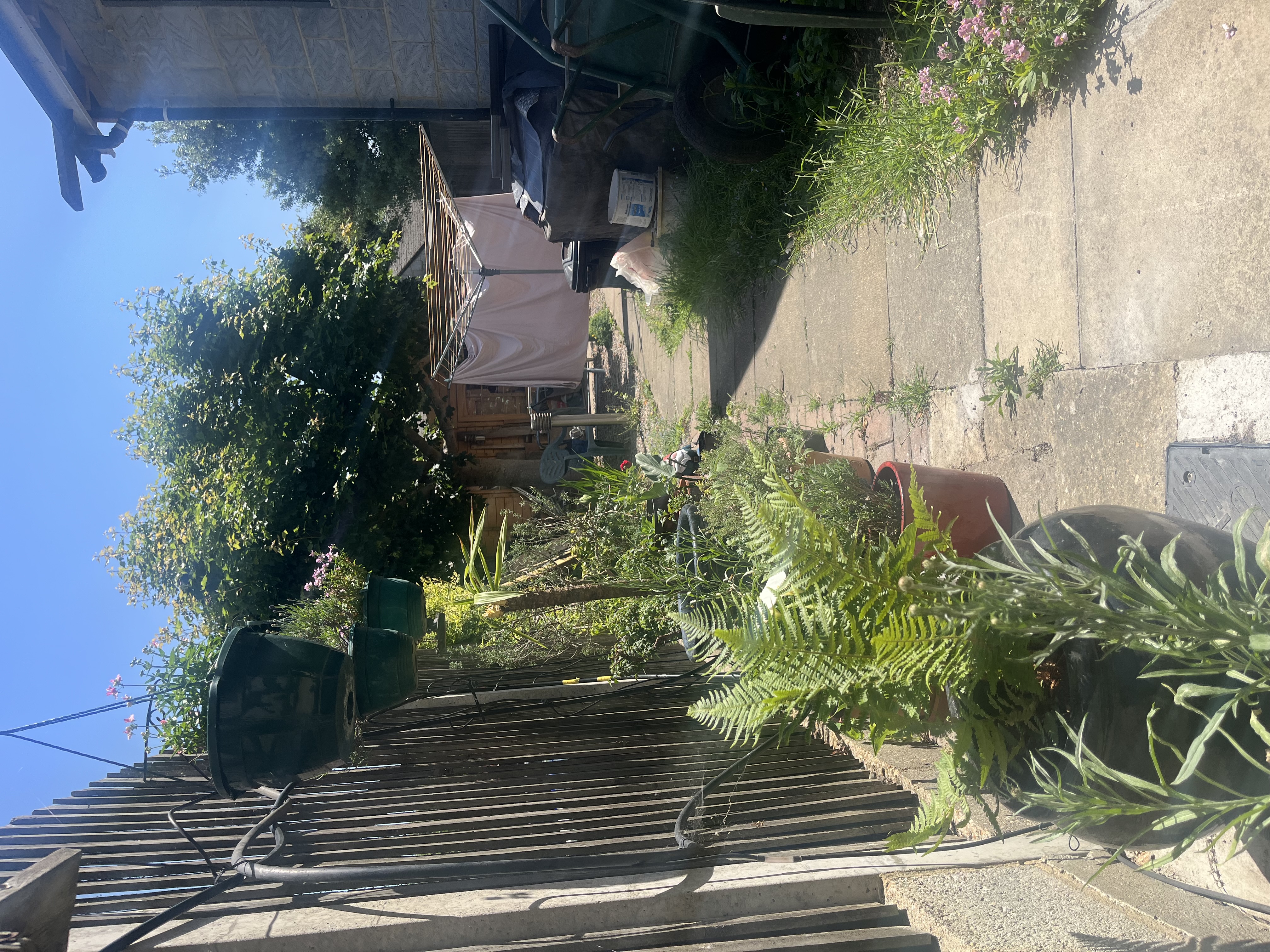 image-7