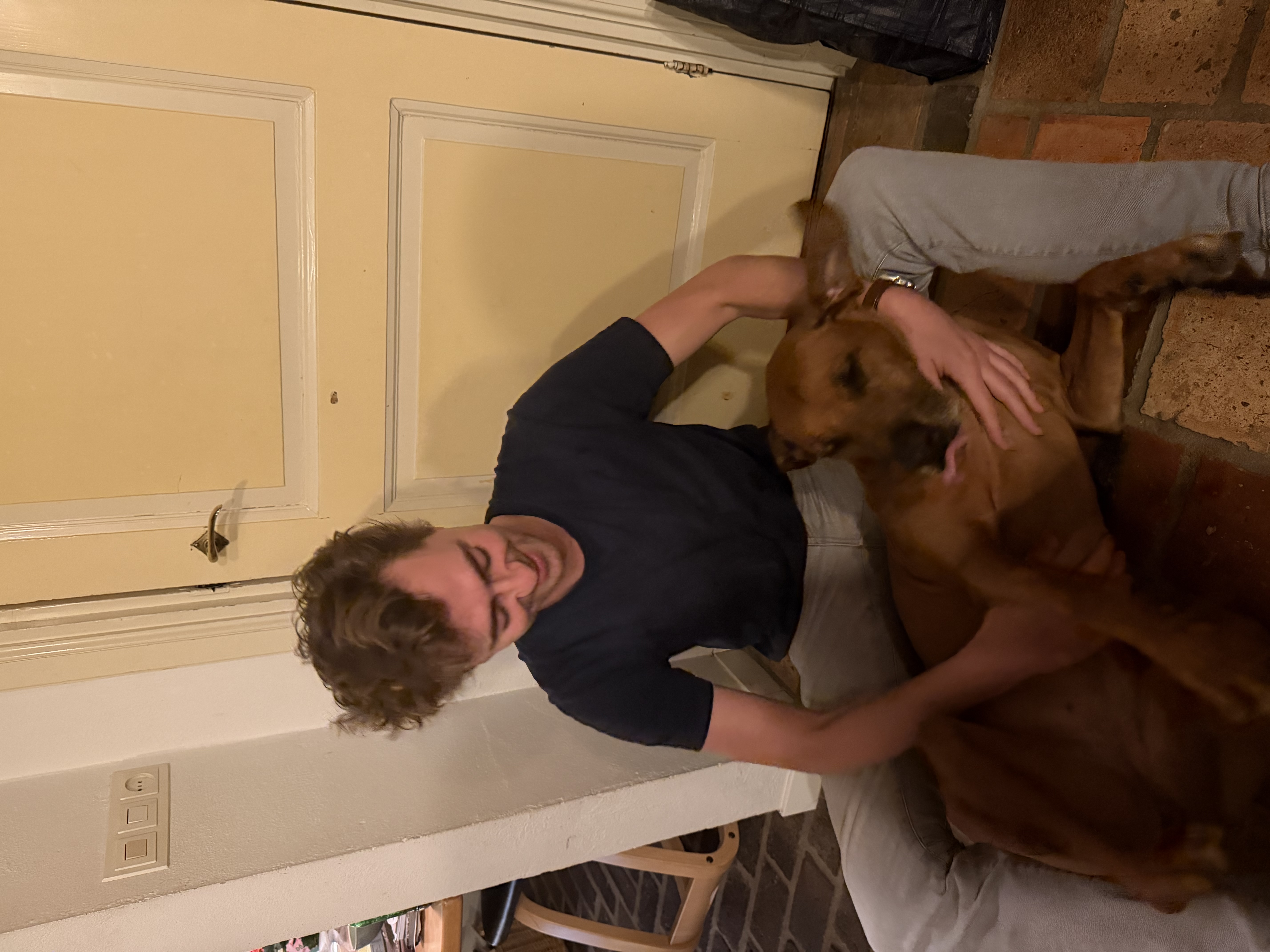 image-7