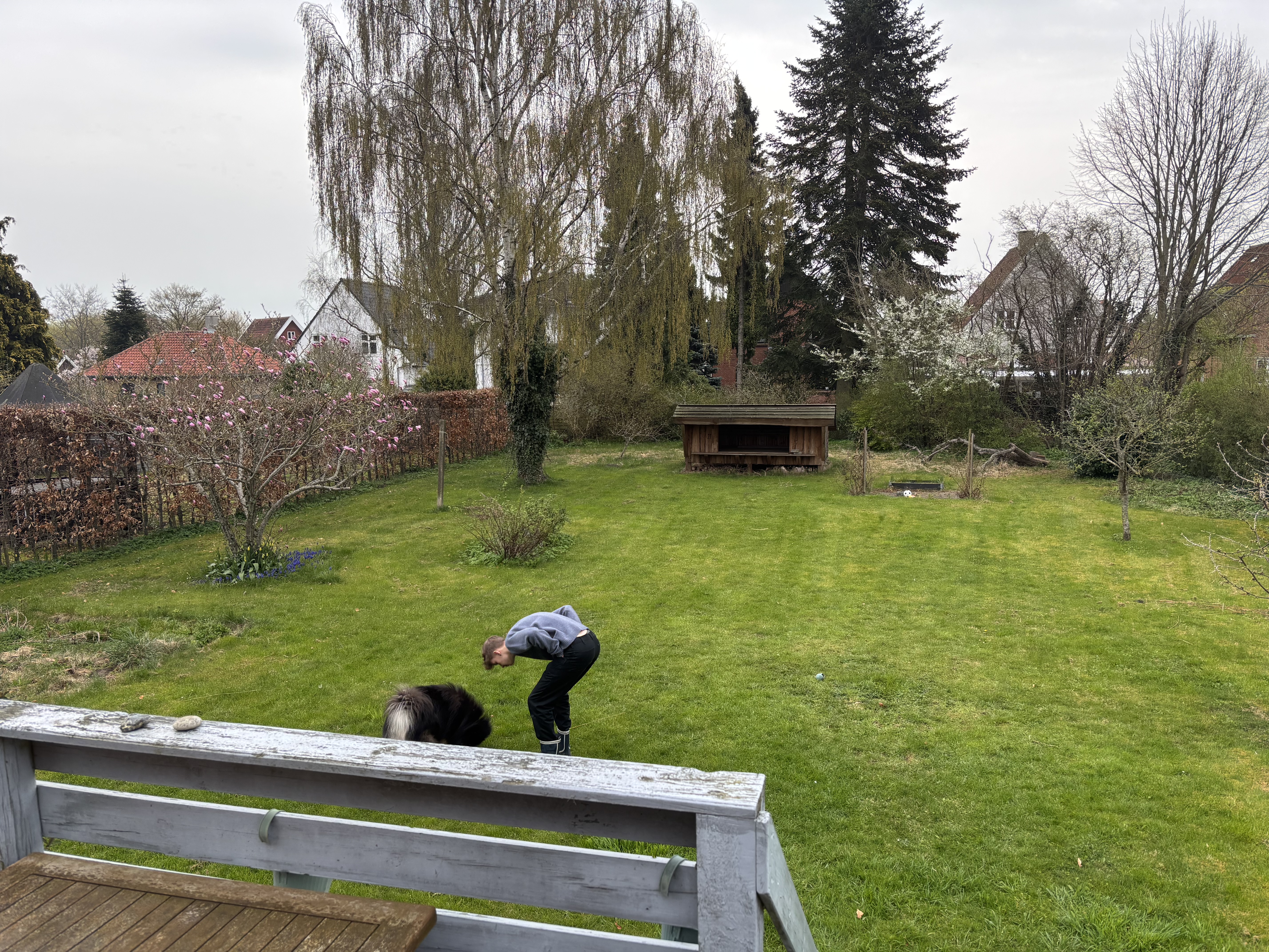 image-15
