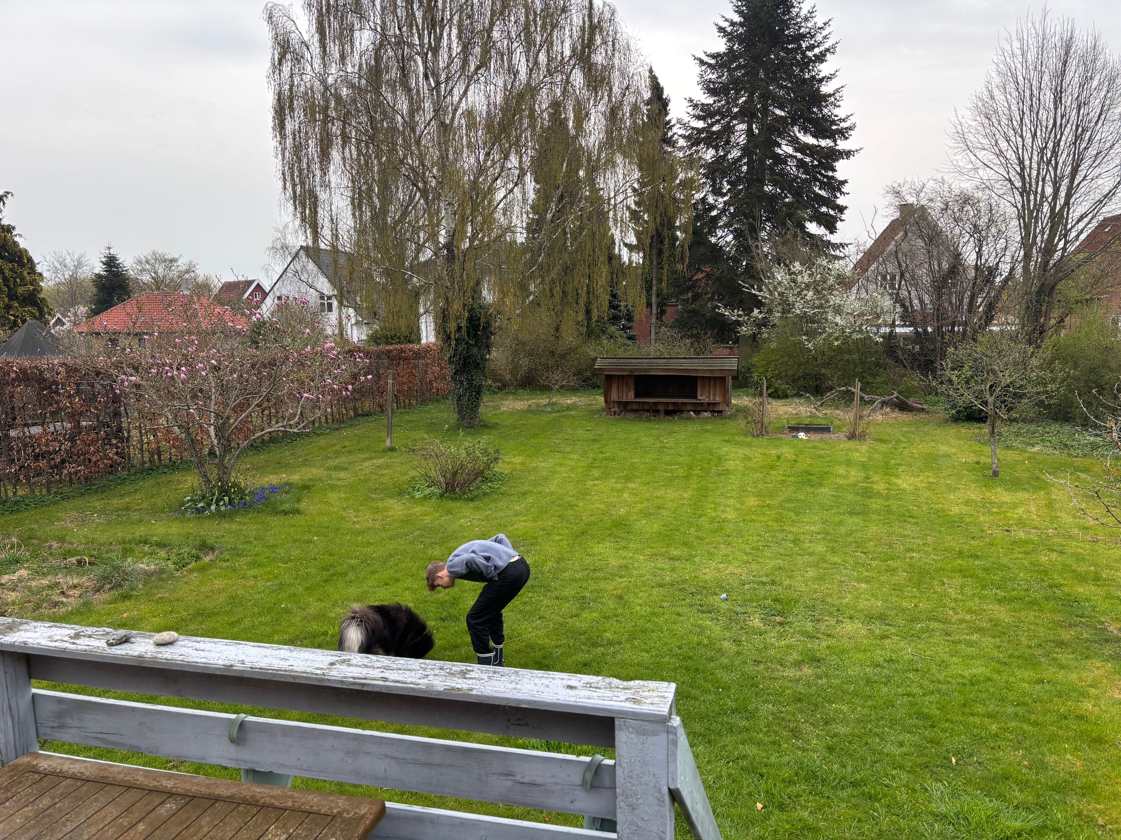 image-15