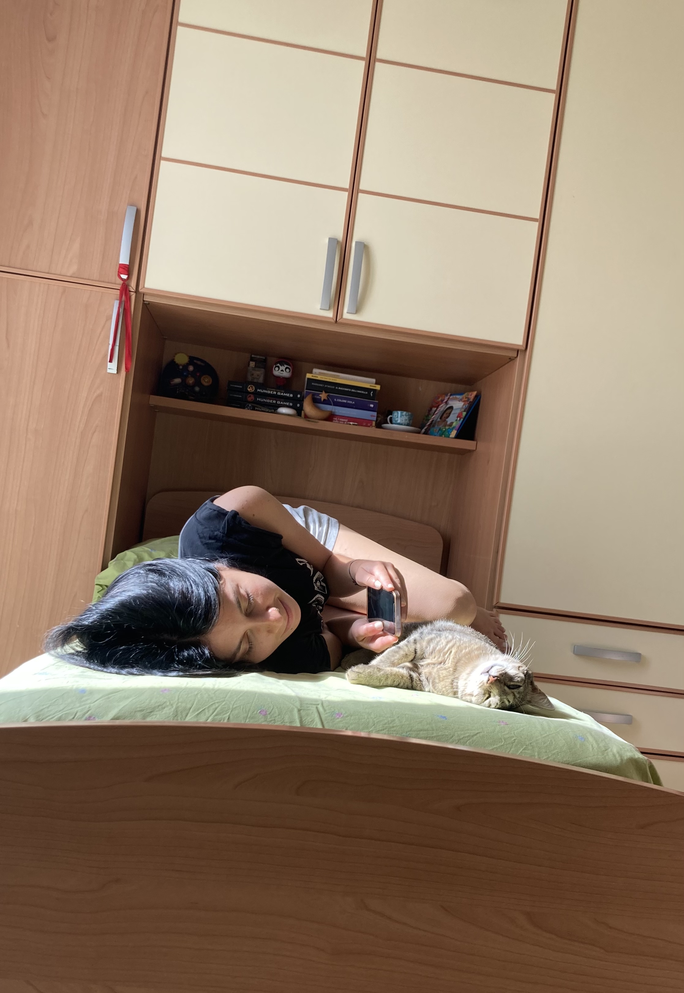 image-12