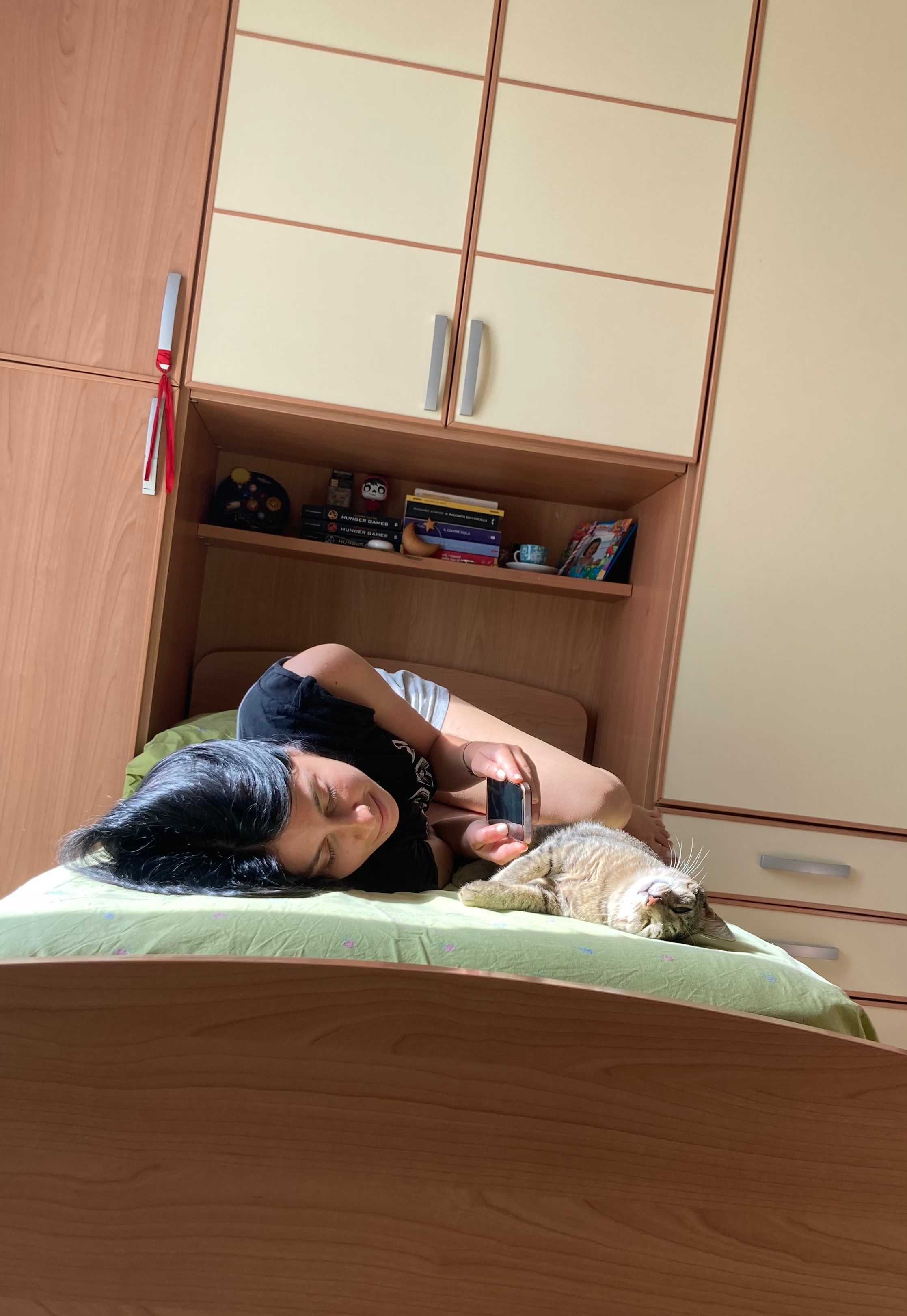 image-12