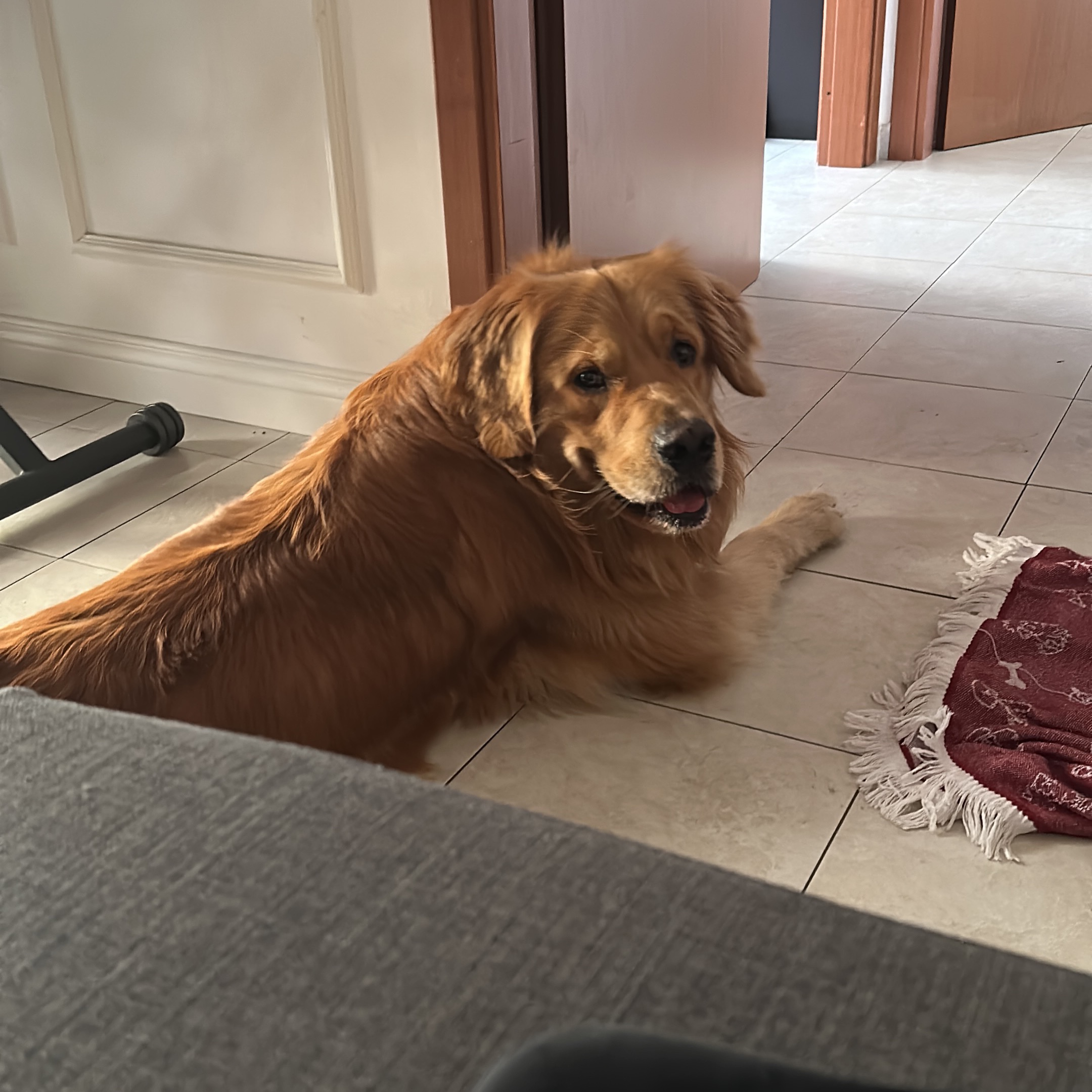 Giulio