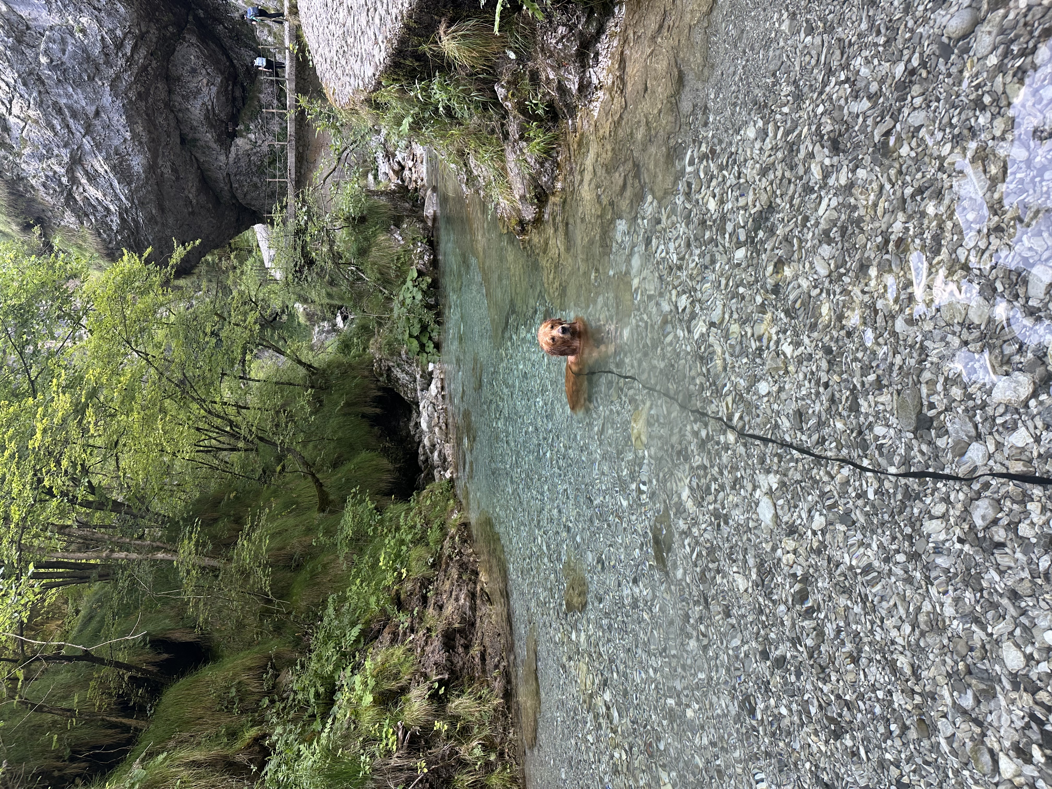 image-13