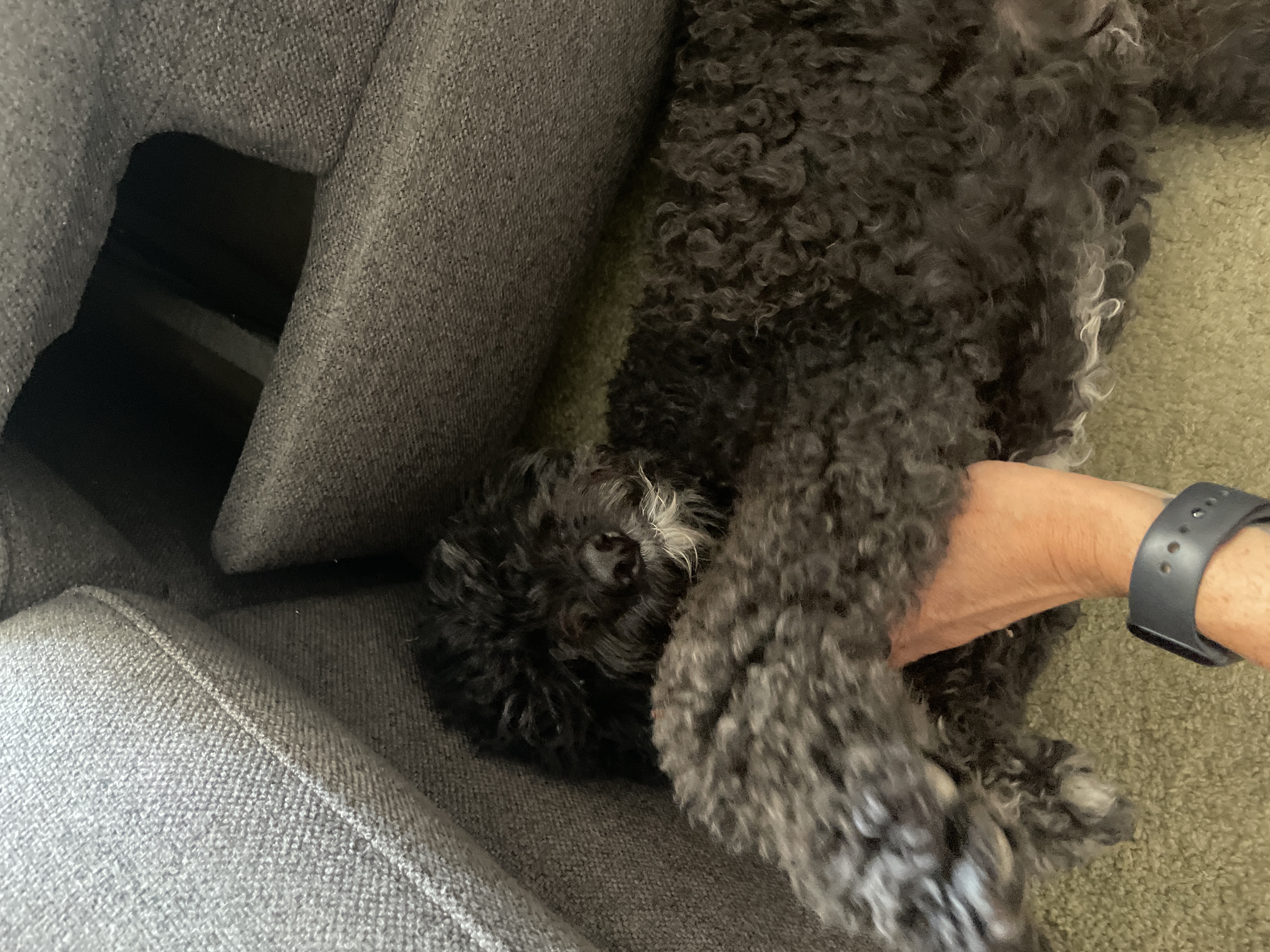 image-8