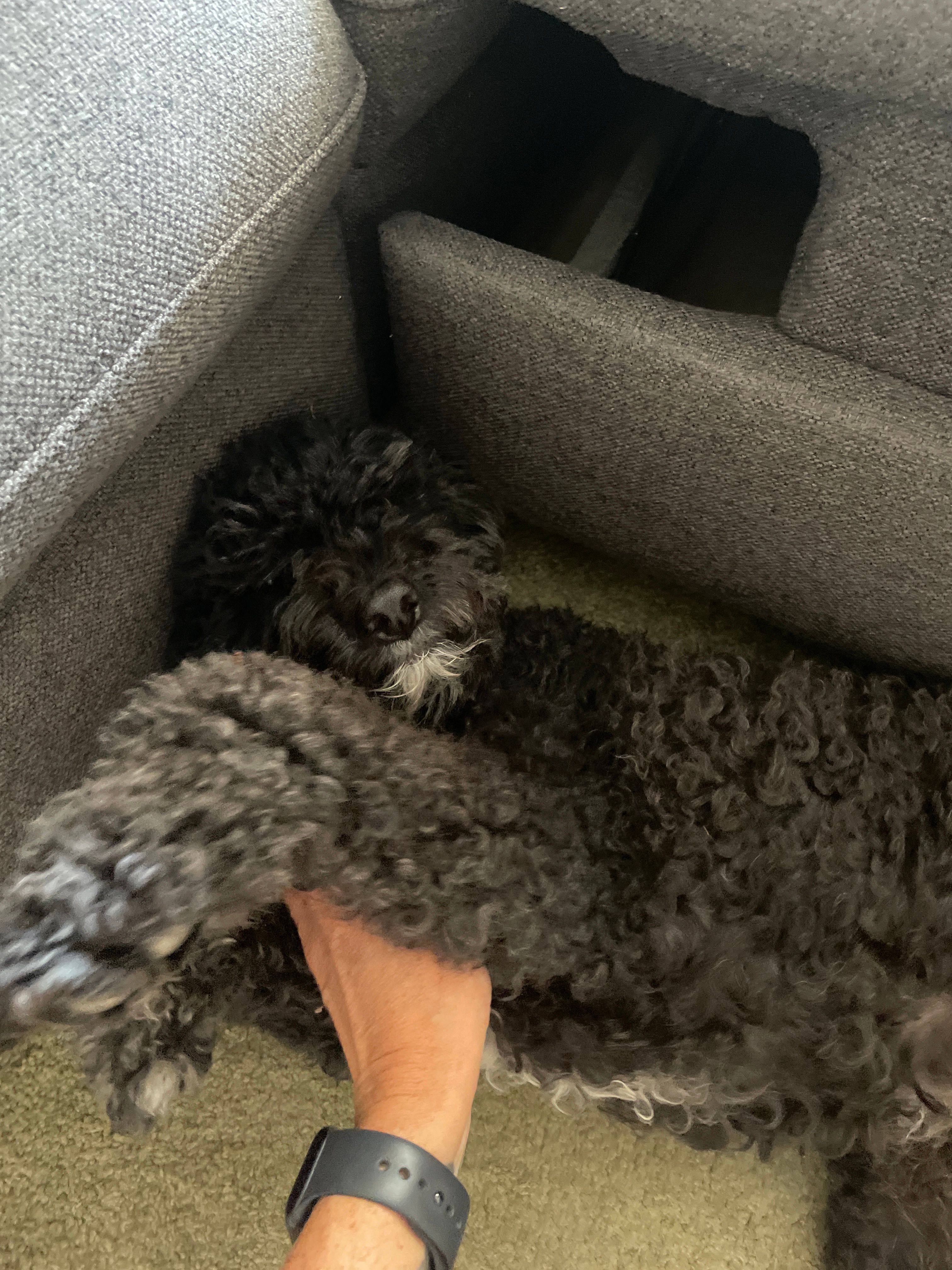 image-8