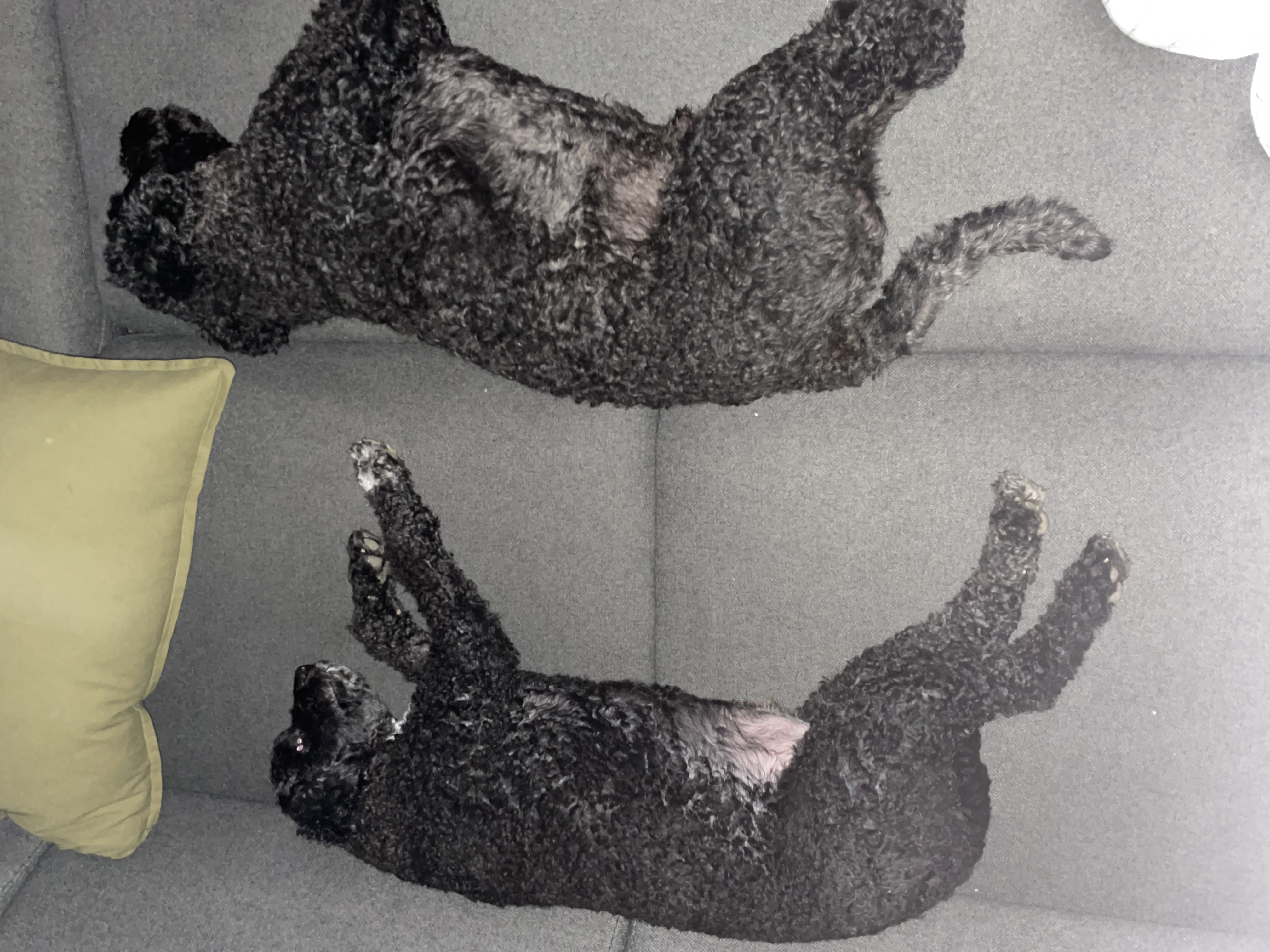 image-5