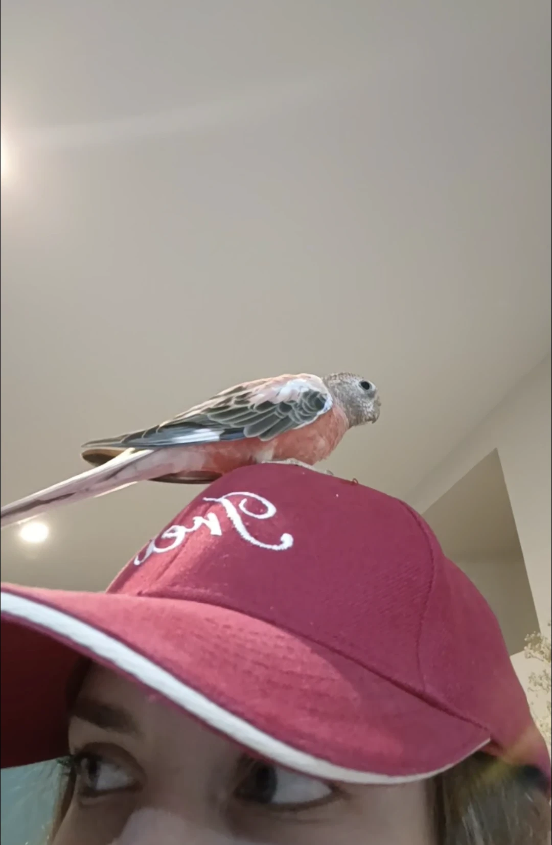 image-7
