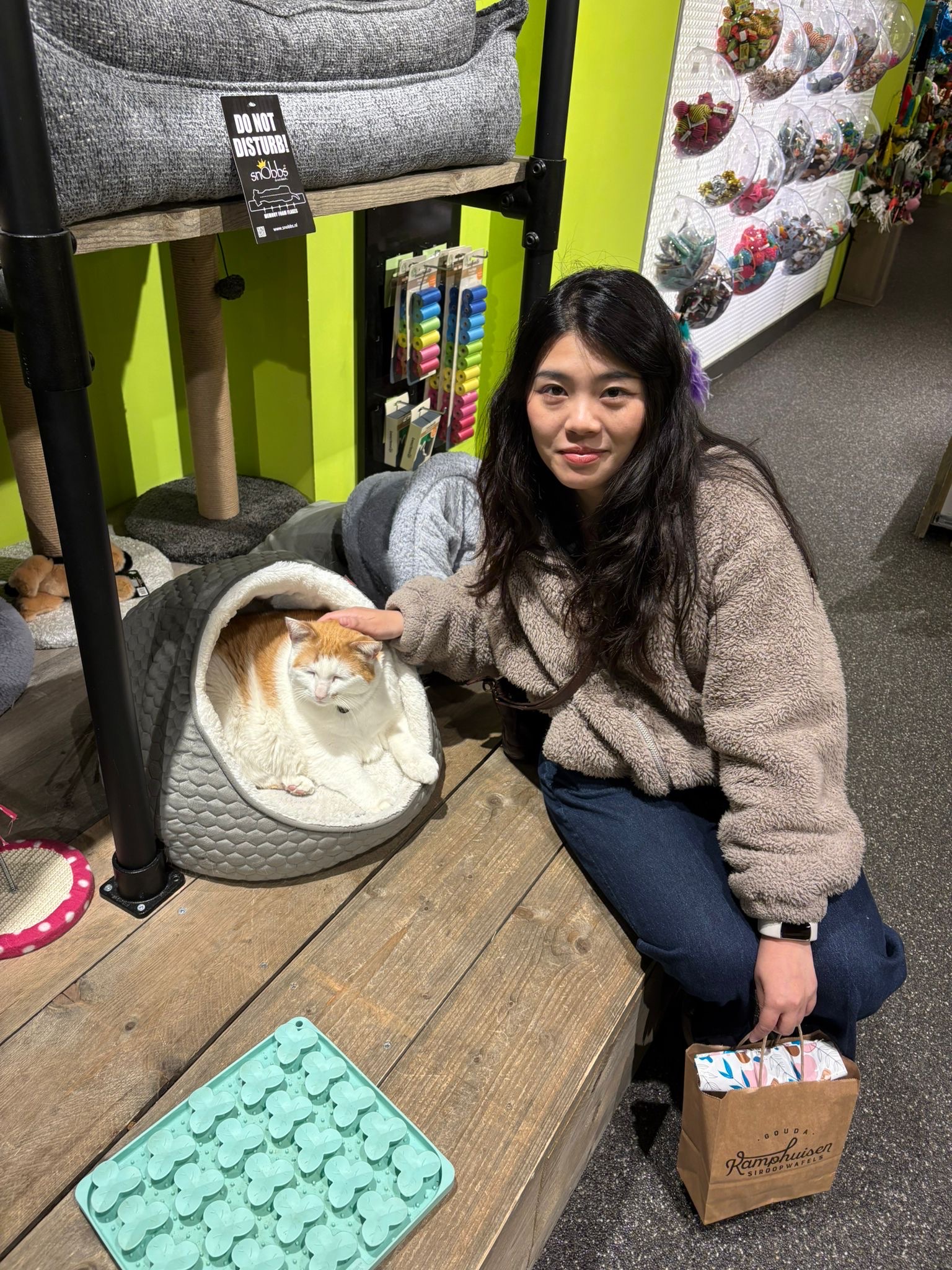 image-7