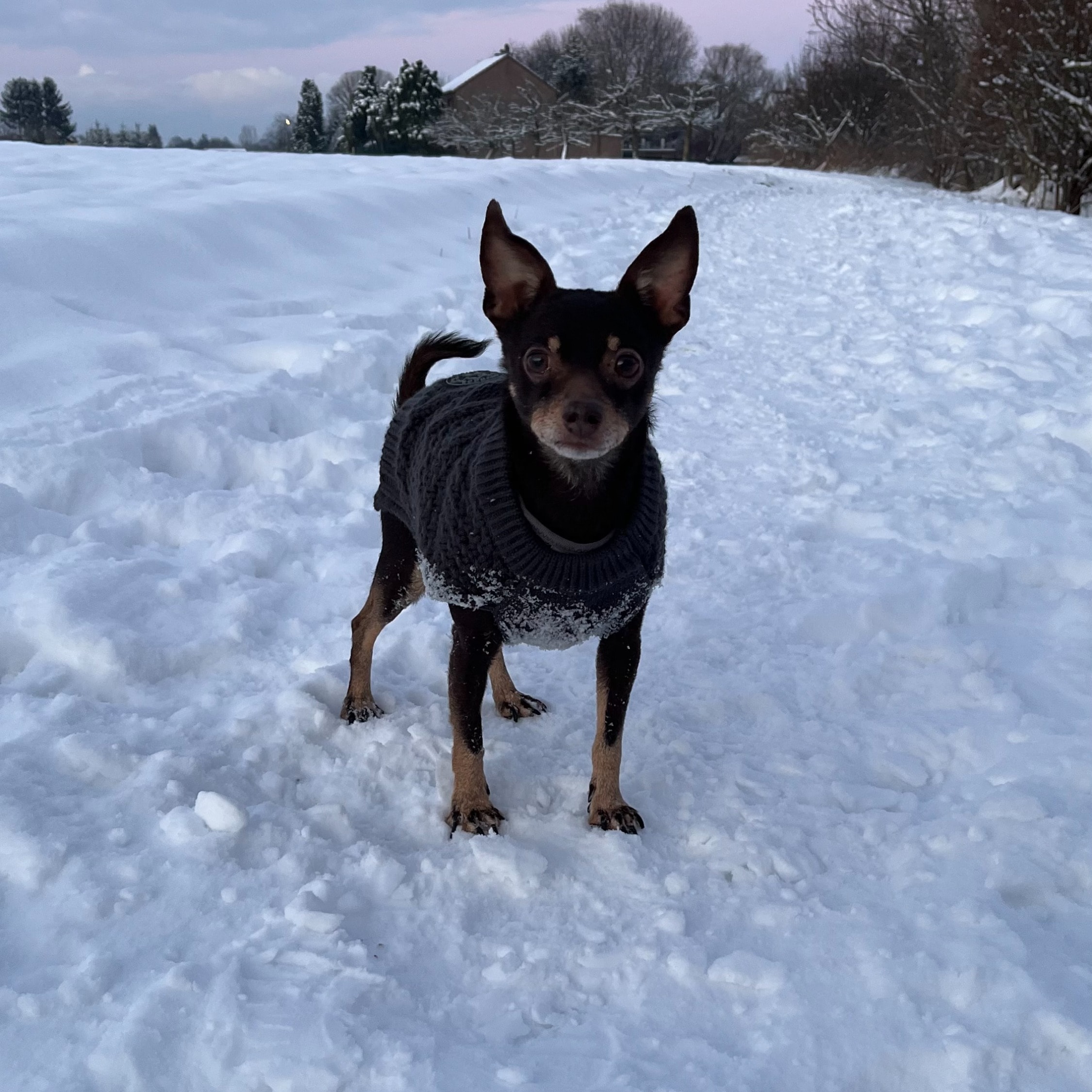 Oscar