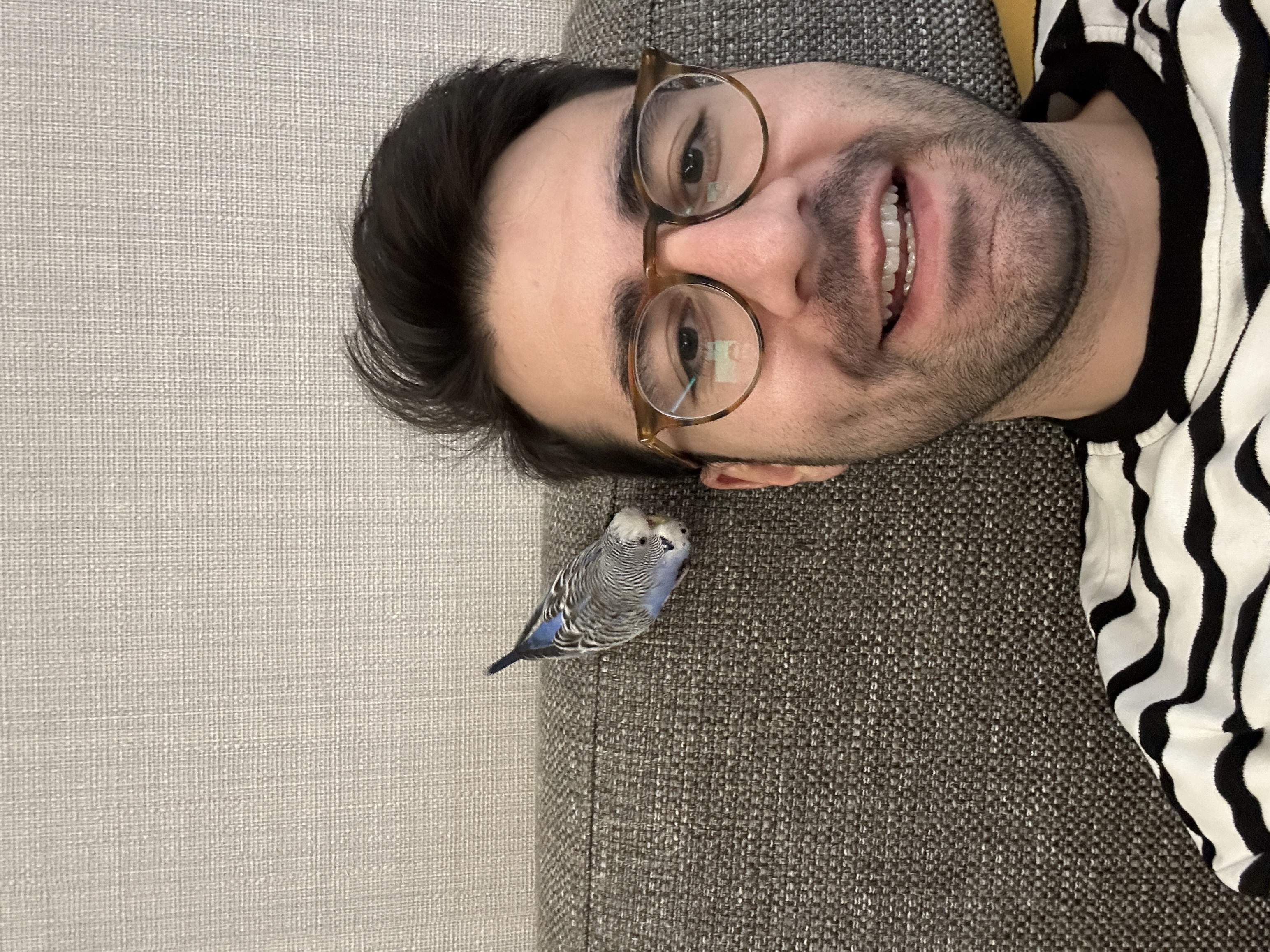image-6