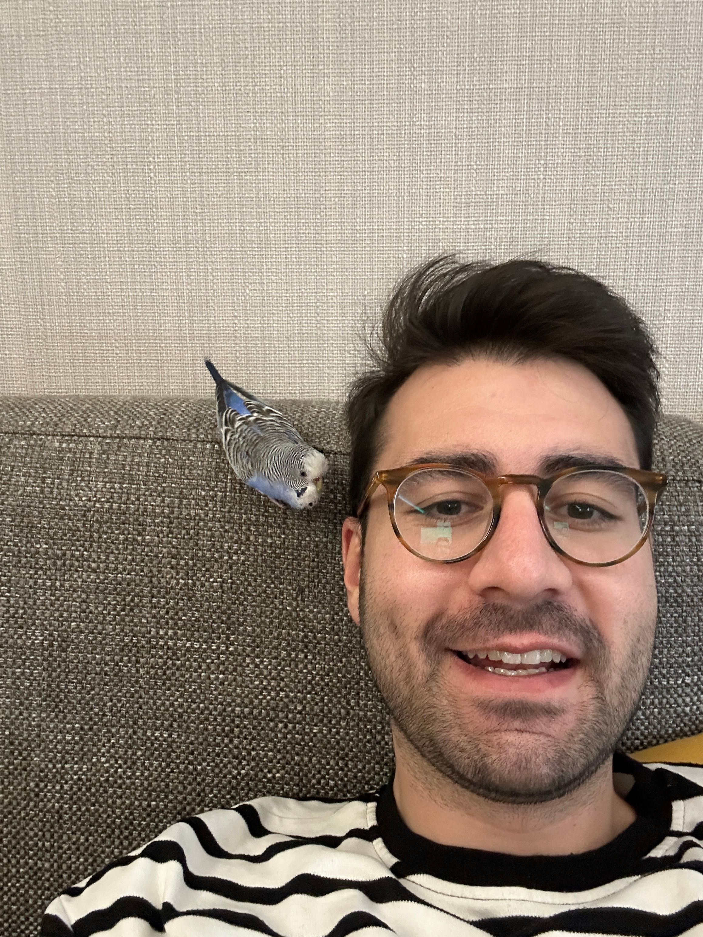 image-6