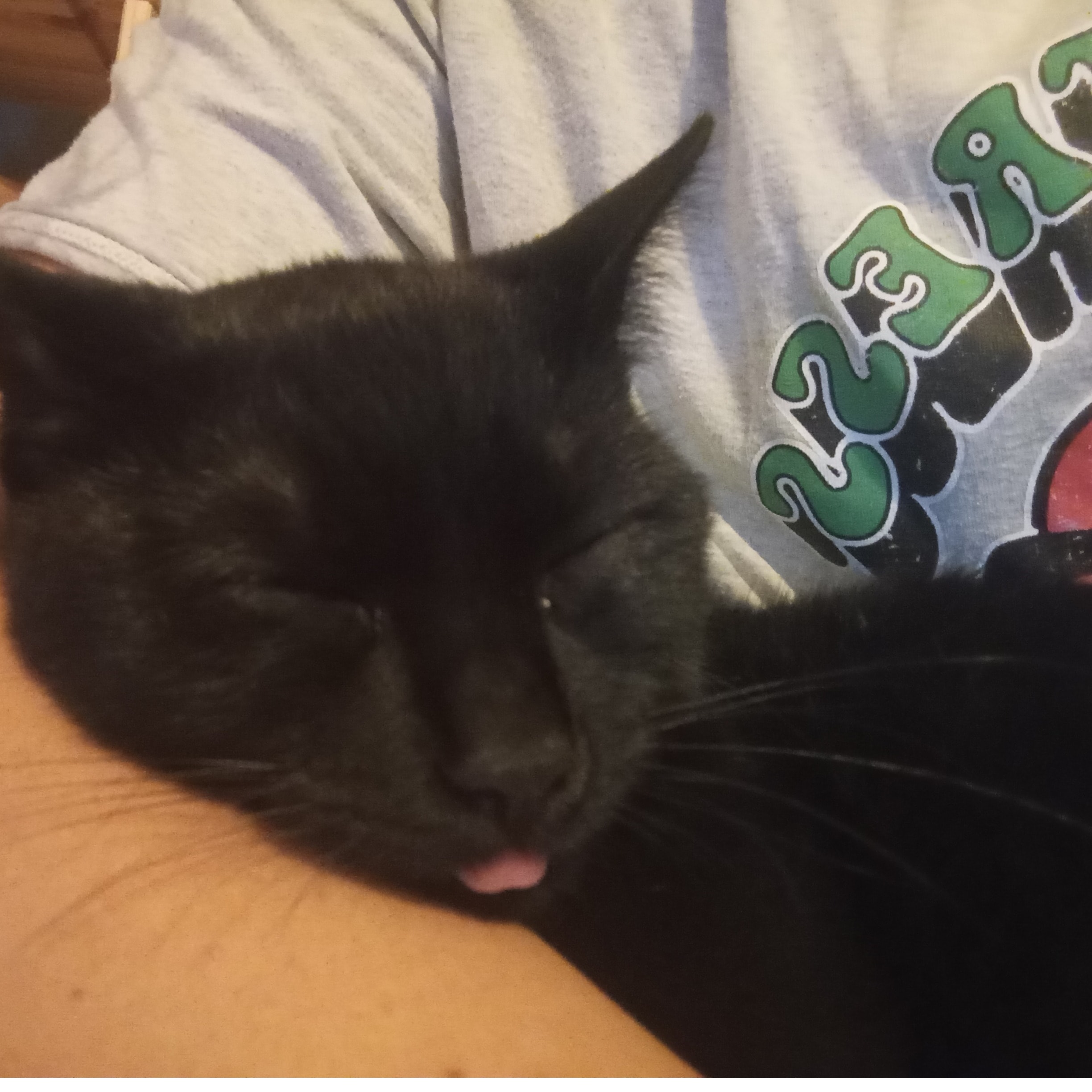 Jiji