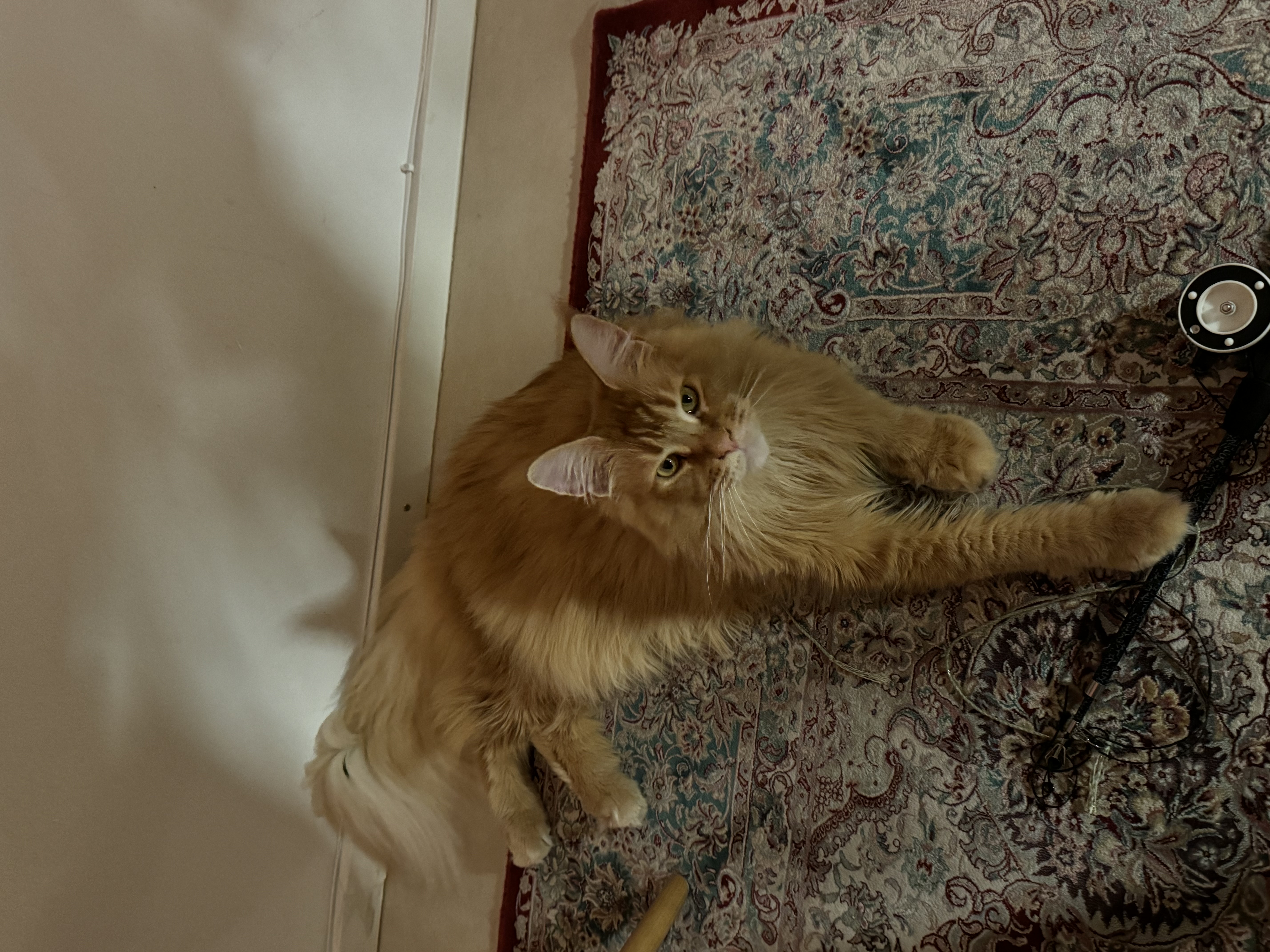 image-6